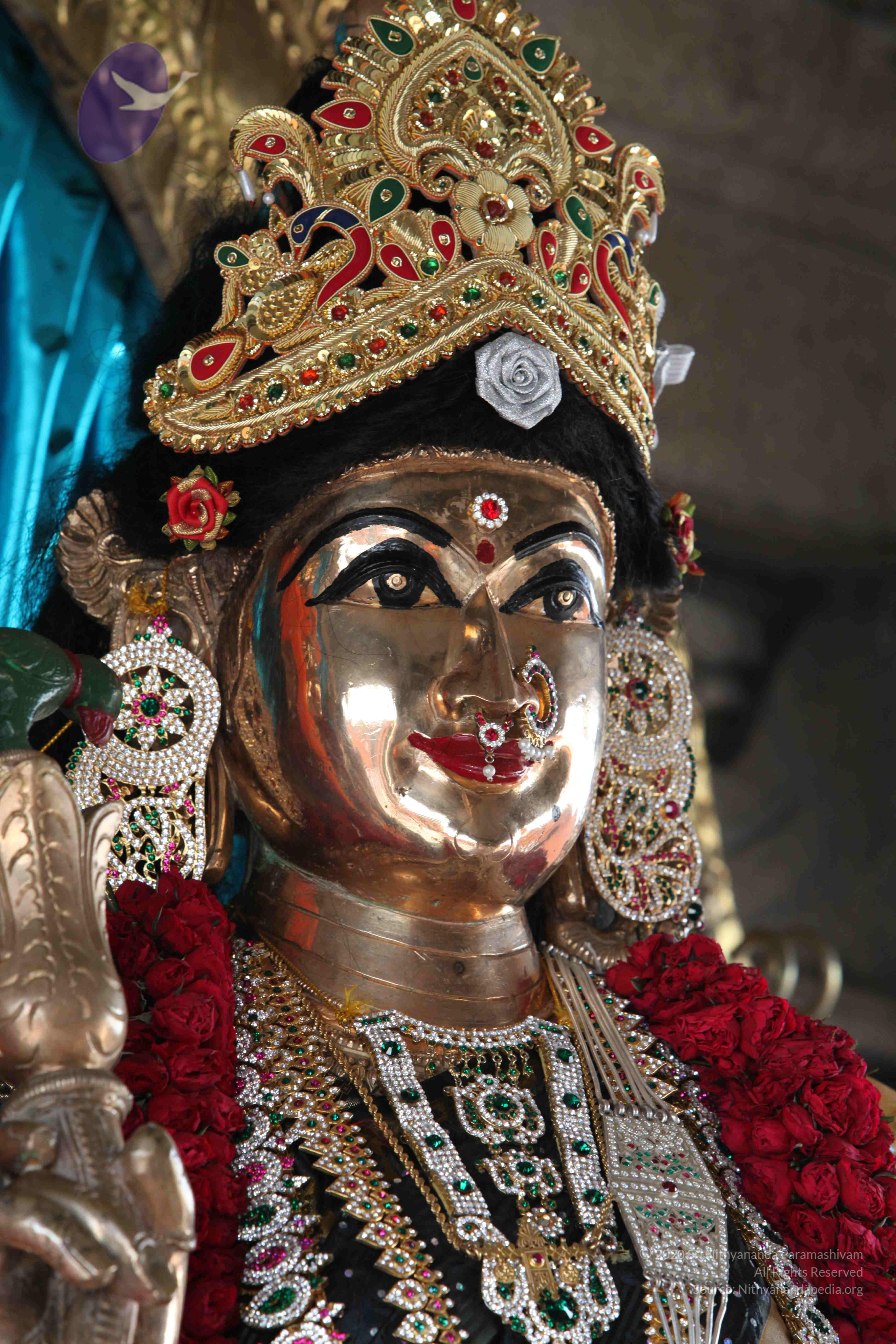 20110828_Photo_1003_IMG_0914_CMP_WM