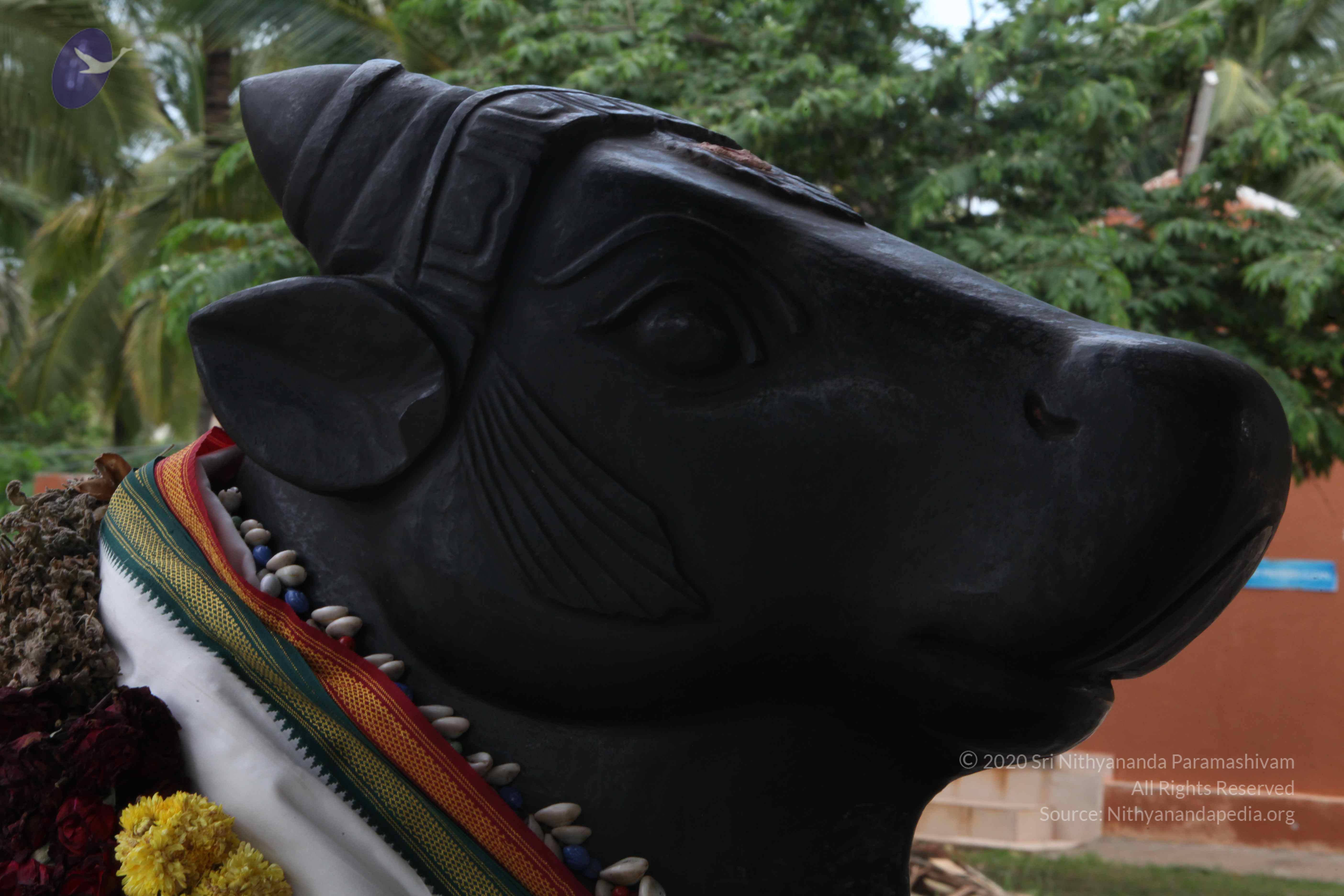 20110828_Photo_1008_IMG_0944_CMP_WM