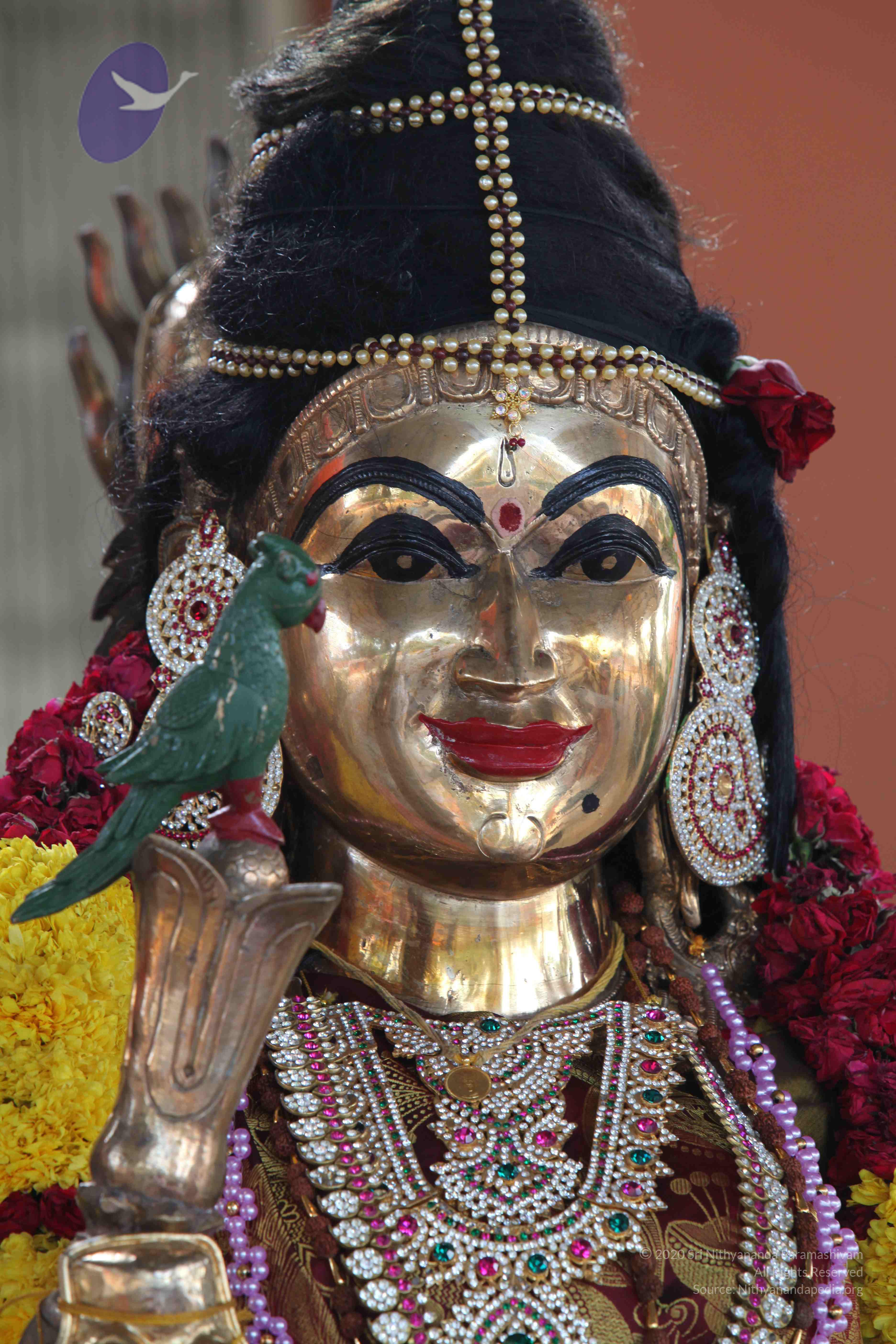 20110828_Photo_1010_IMG_0930_CMP_WM