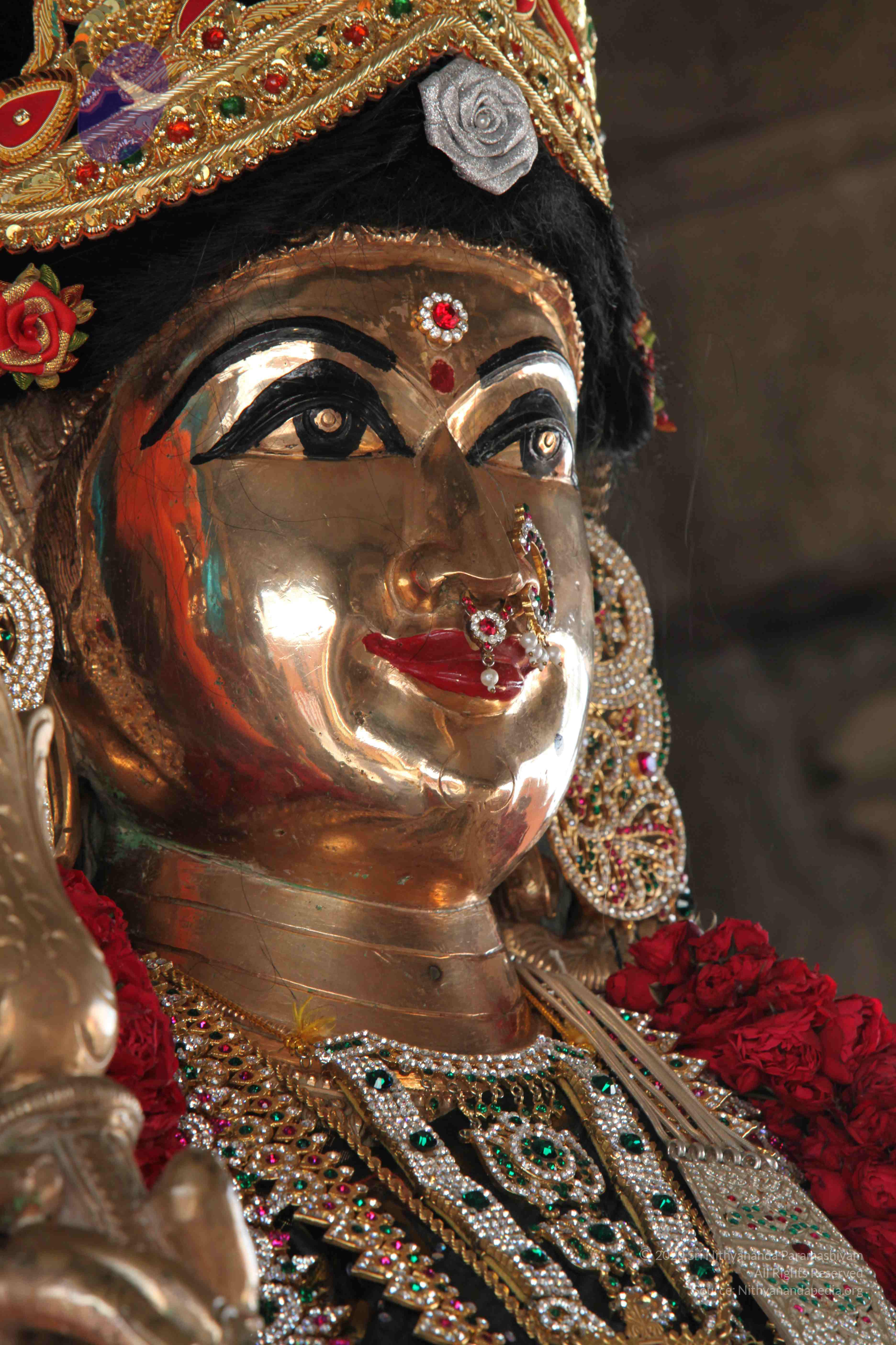 20110828_Photo_1012_IMG_0916_CMP_WM