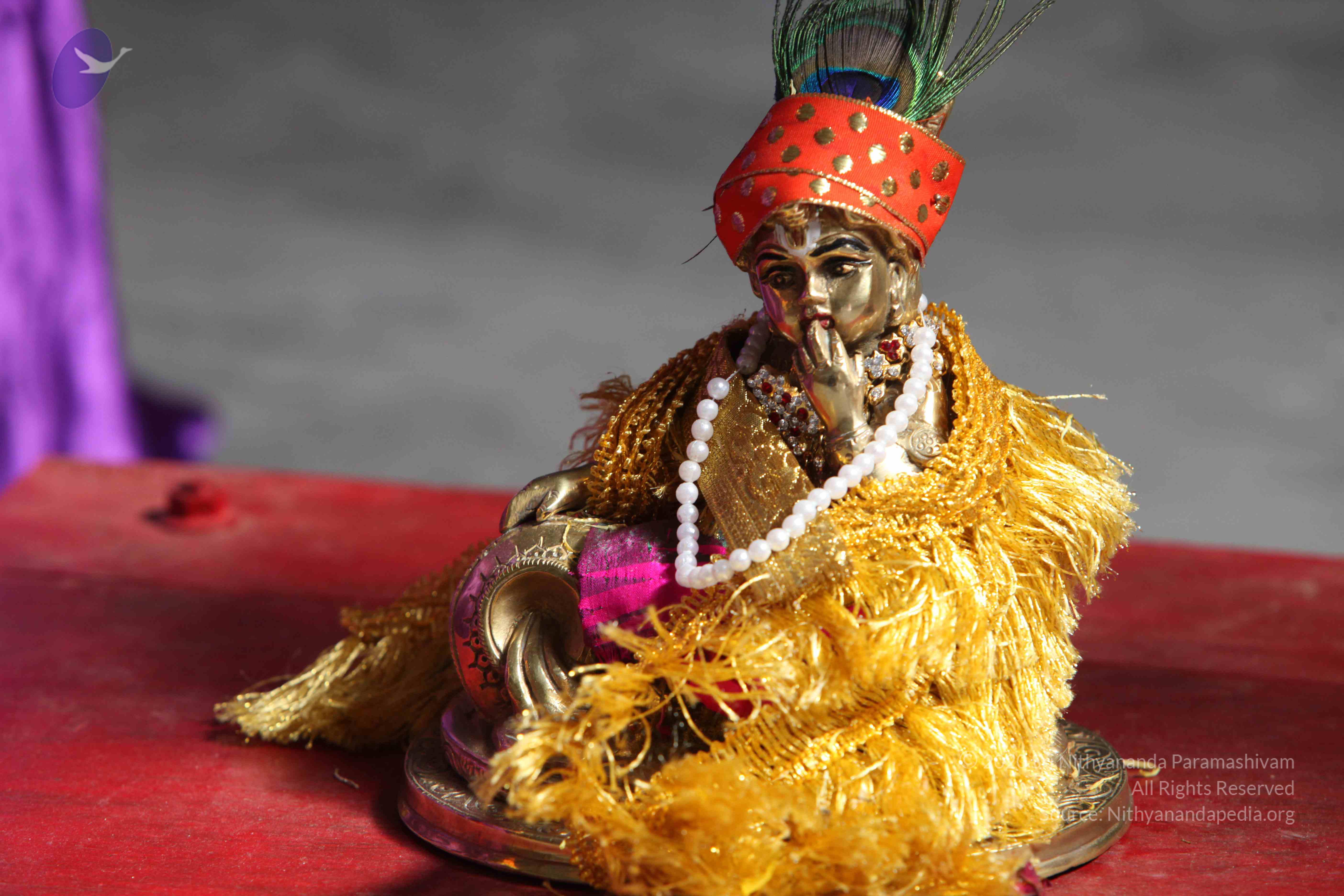 20110828_Photo_1020_IMG_0927_CMP_WM