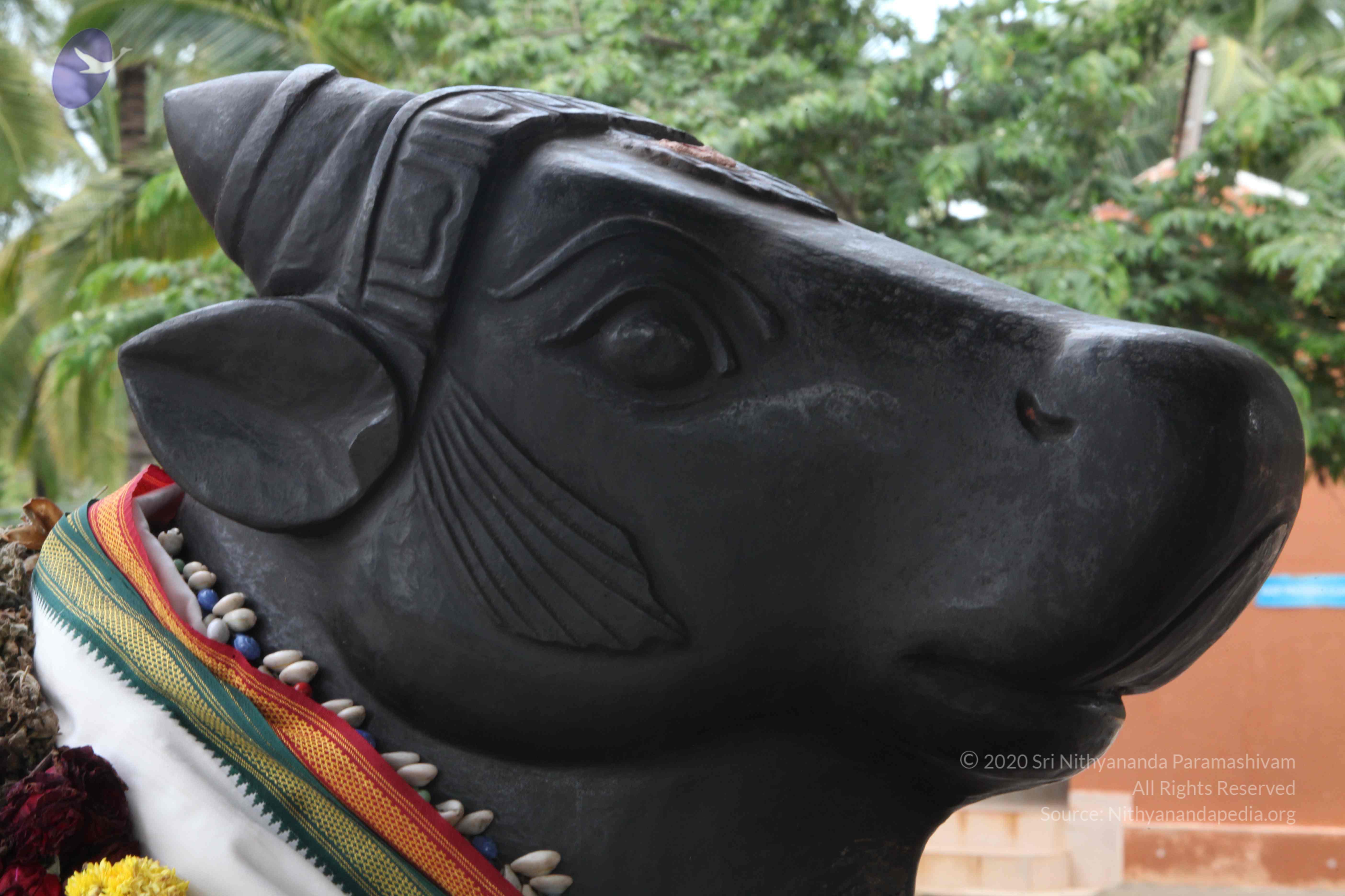 20110828_Photo_1022_IMG_0945_CMP_WM