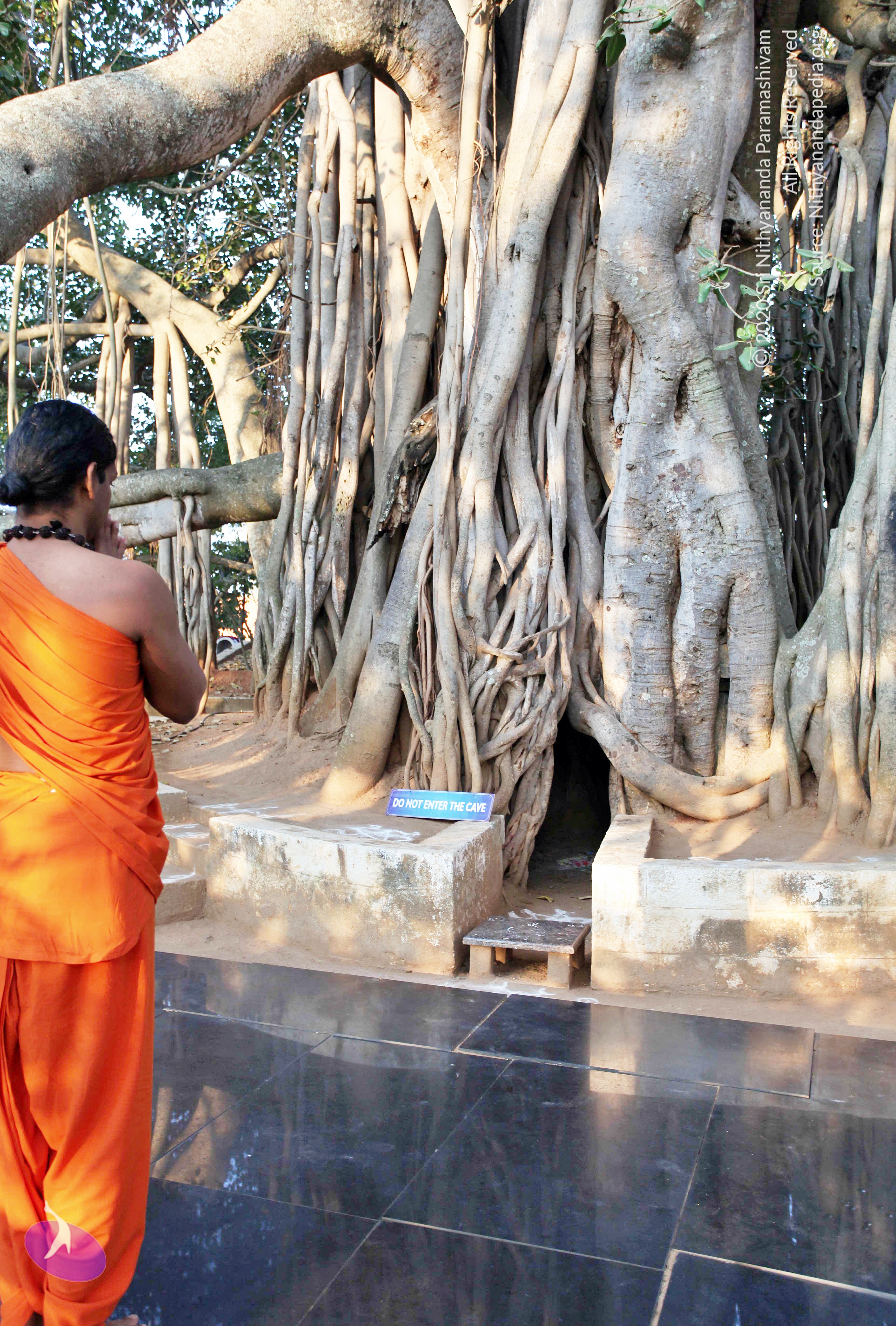 20110208_Photo_1004_IMG_5825_CMP_WM (1)