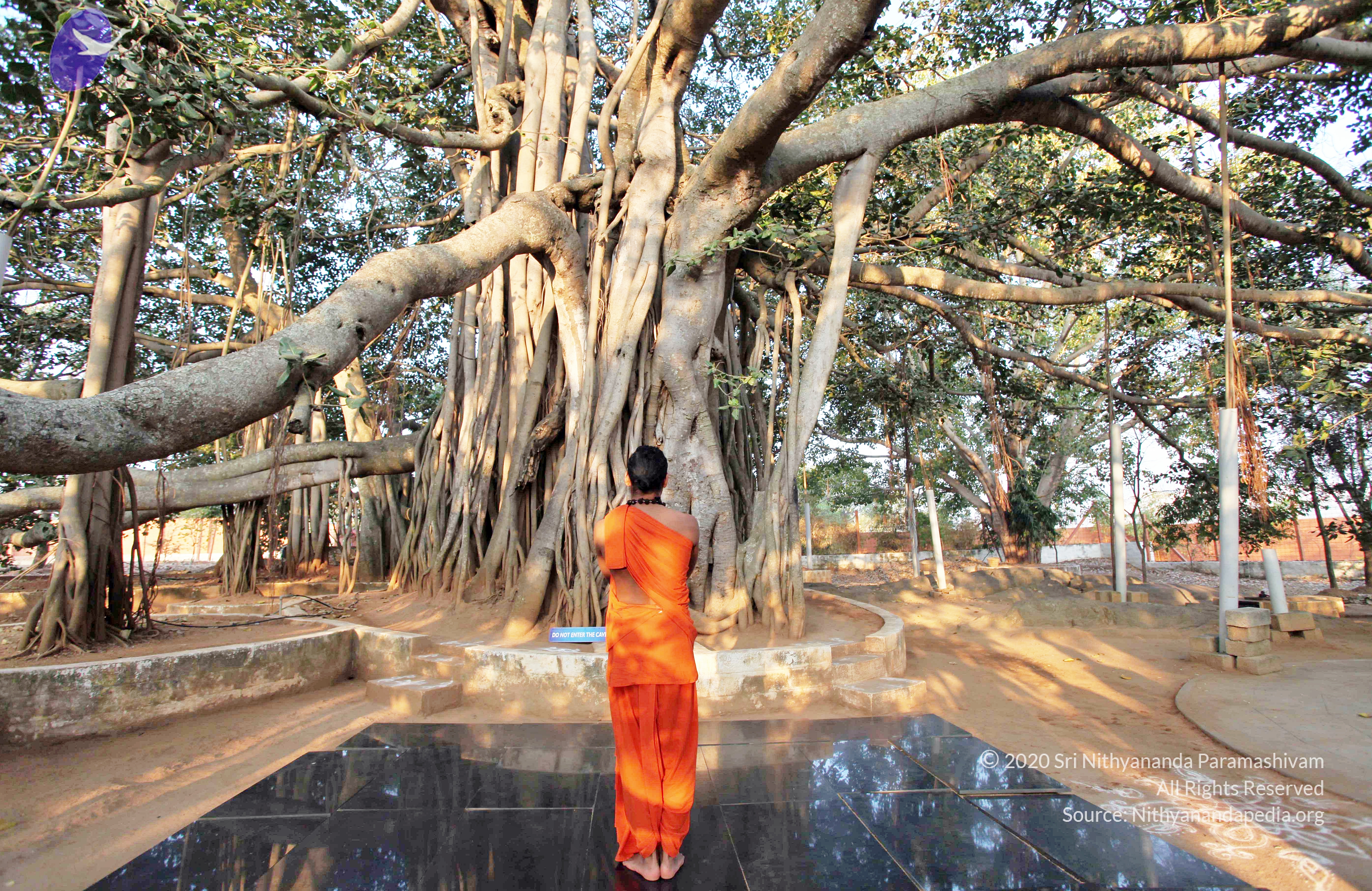 20110208_Photo_1008_IMG_5827_CMP_WM (1)