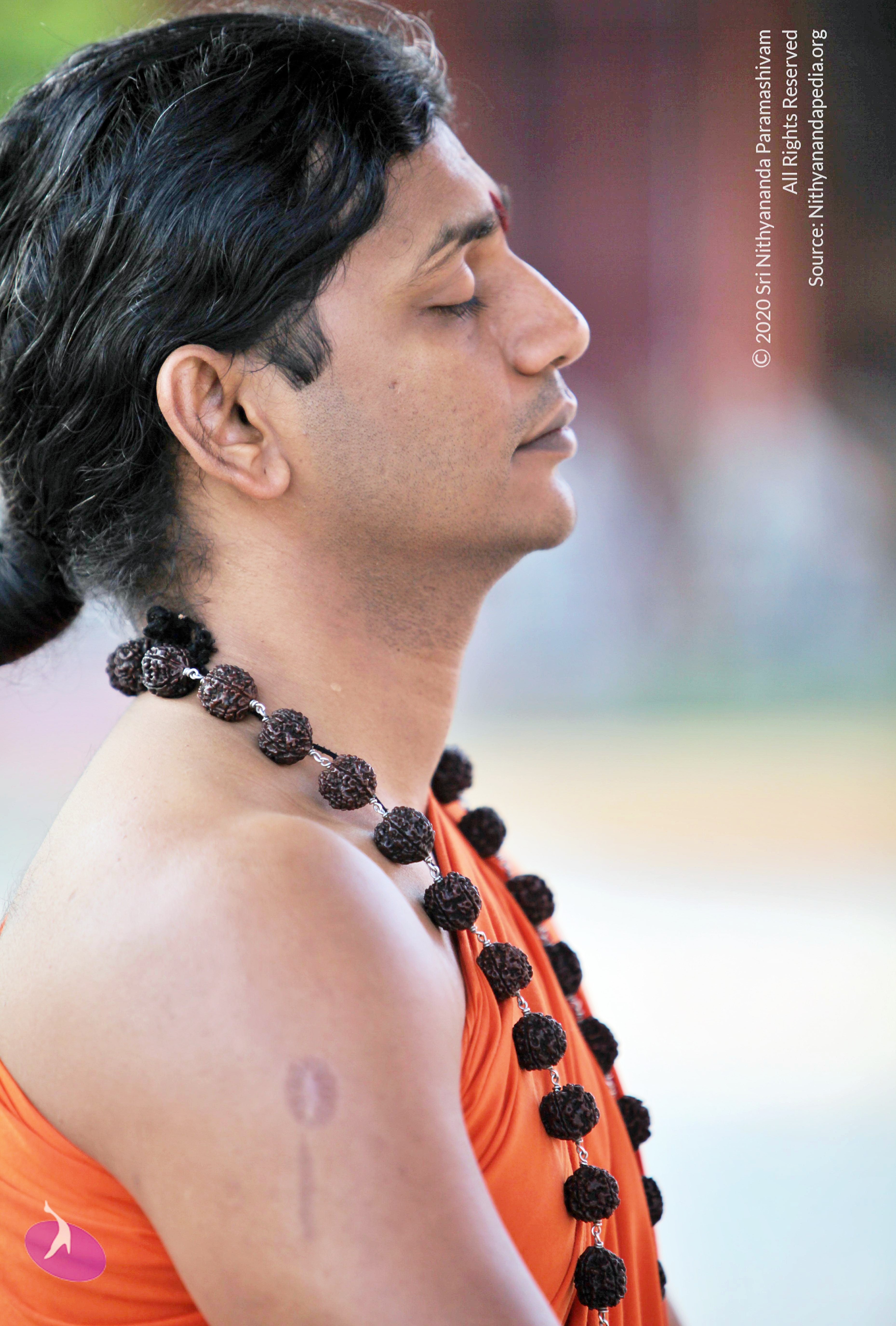 20110208_Photo_1001_IMG_5839_CMP_WM (1)