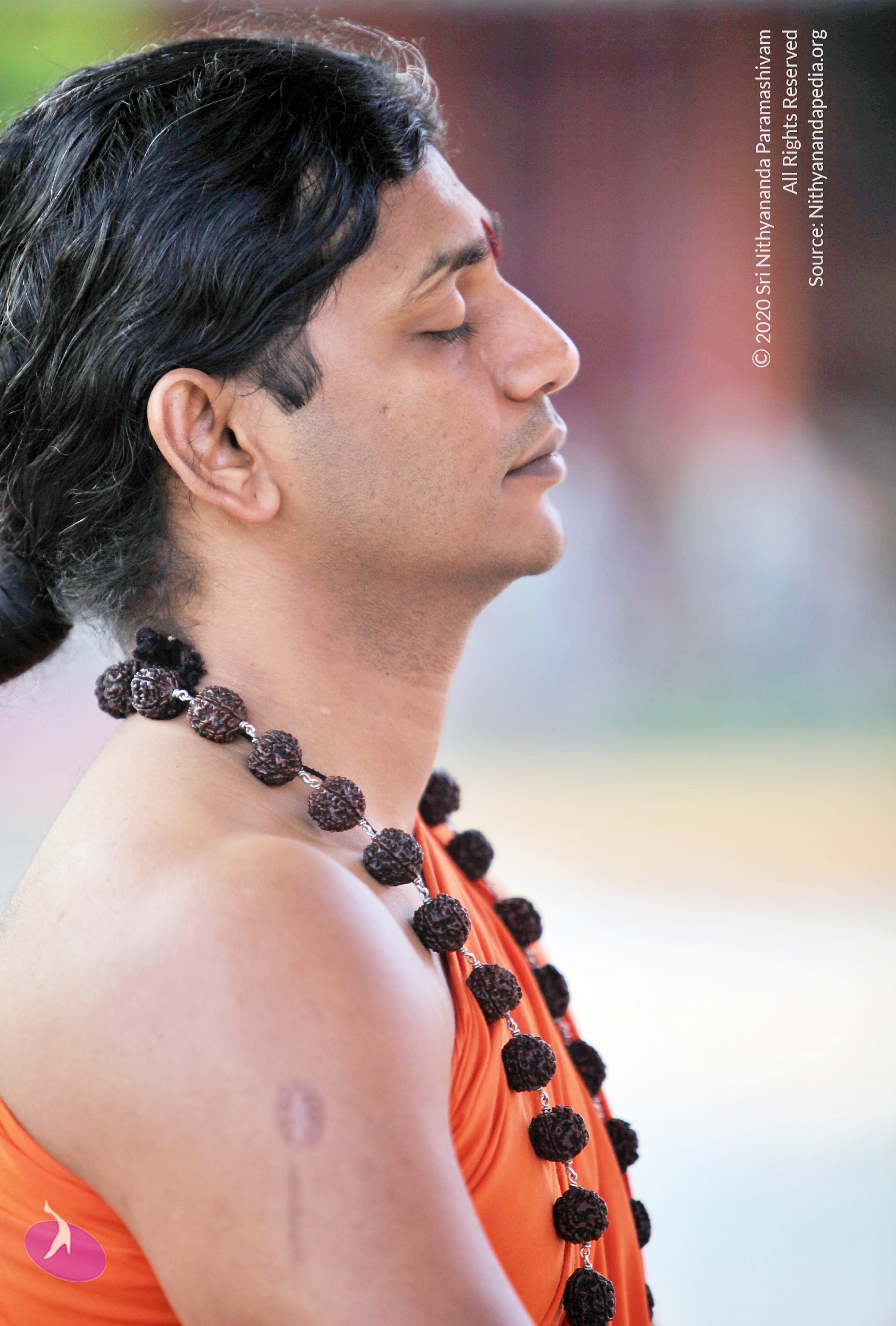 20110208_Photo_1003_IMG_5840_CMP_WM (1)