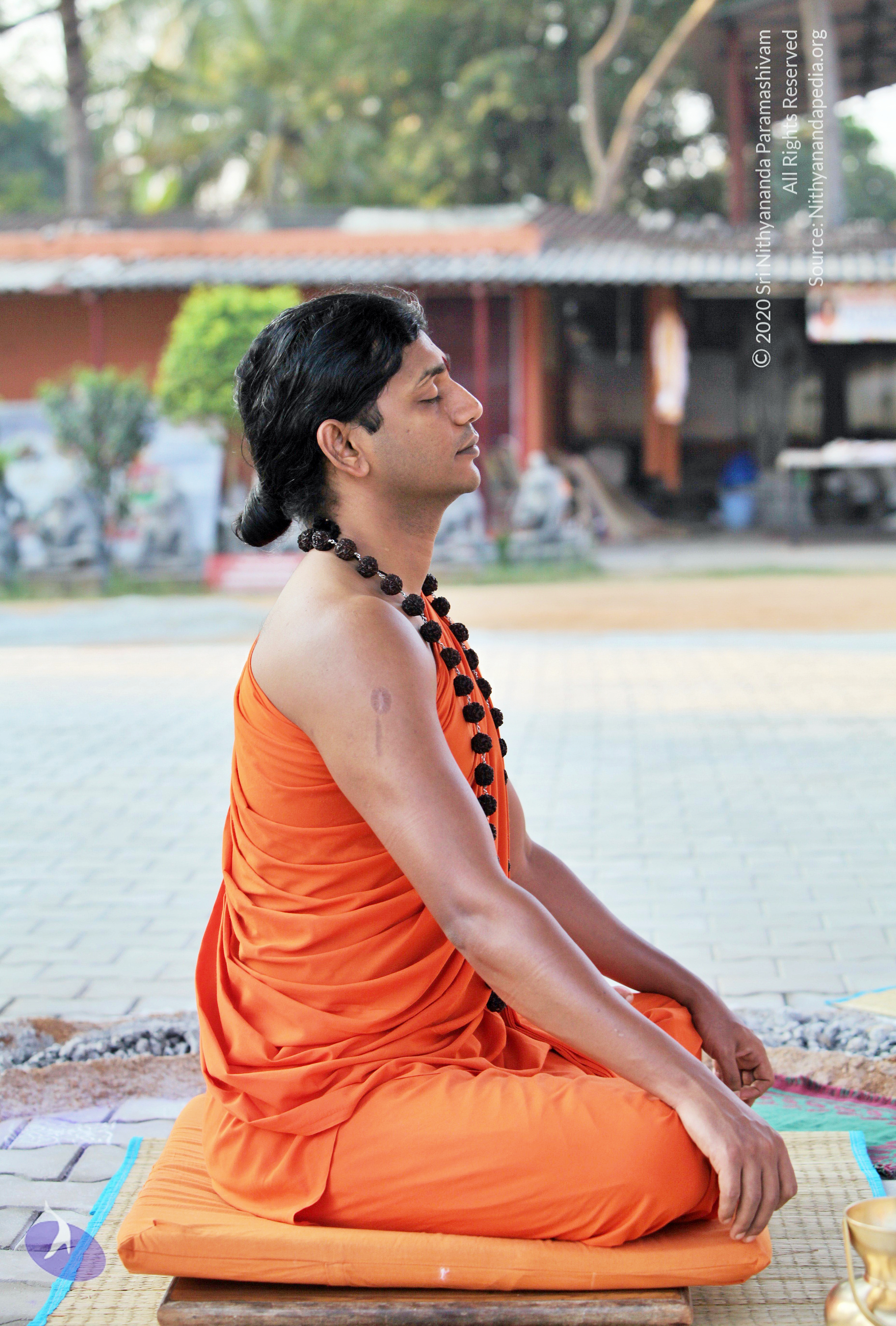 20110208_Photo_1005_IMG_5836_CMP_WM (1)