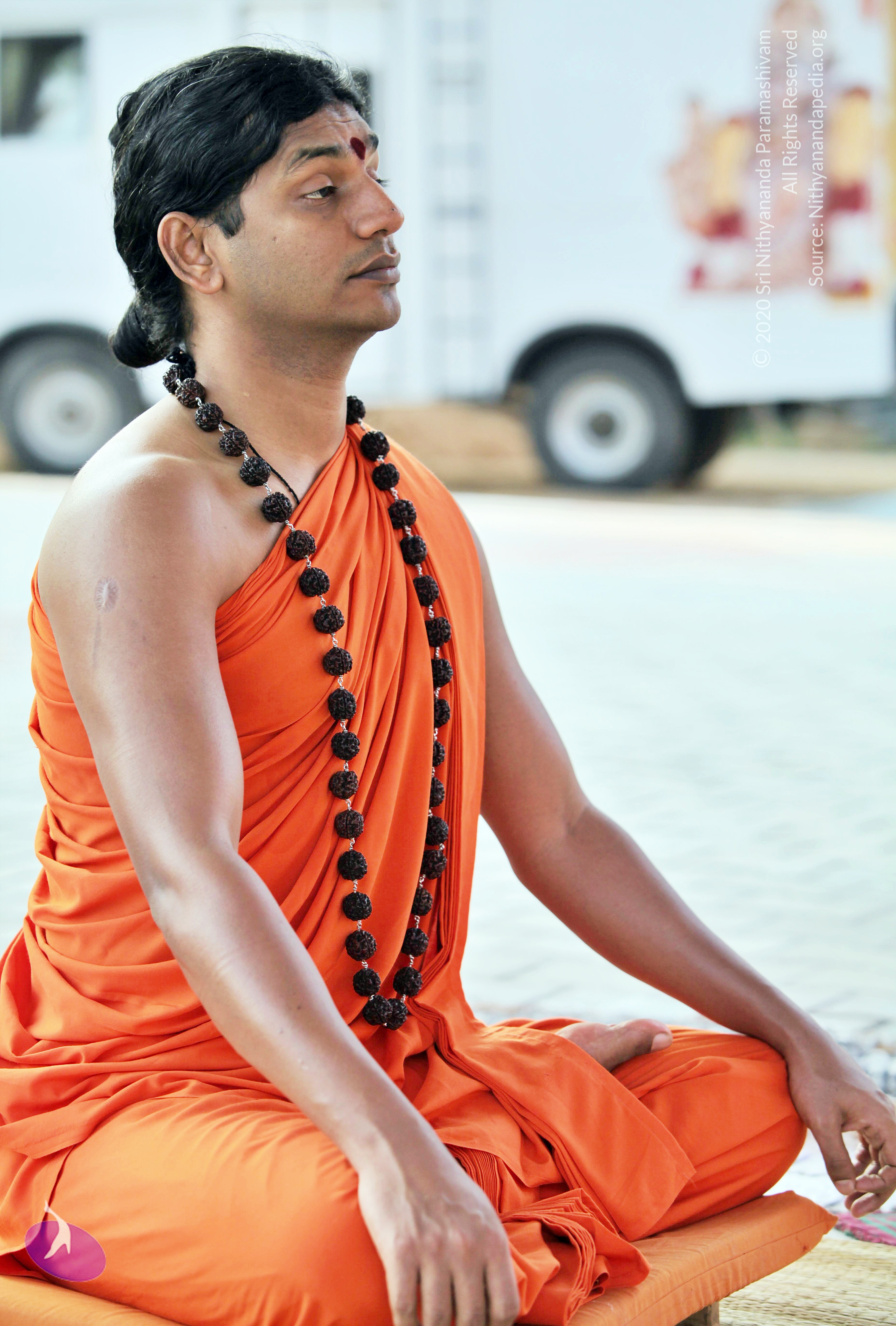 20110208_Photo_1007_IMG_5847_CMP_WM (1)