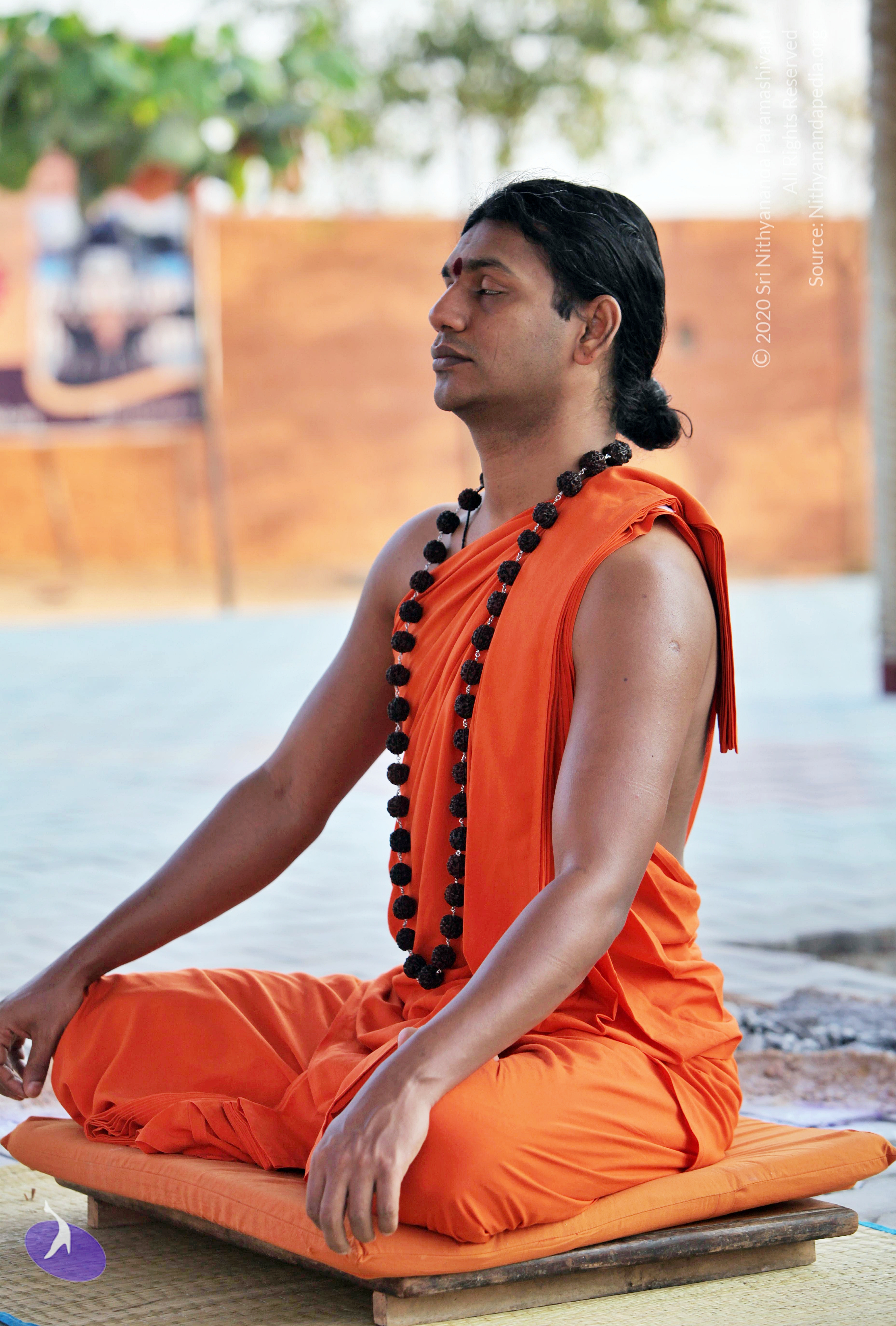 20110208_Photo_1009_IMG_5853_CMP_WM (1)