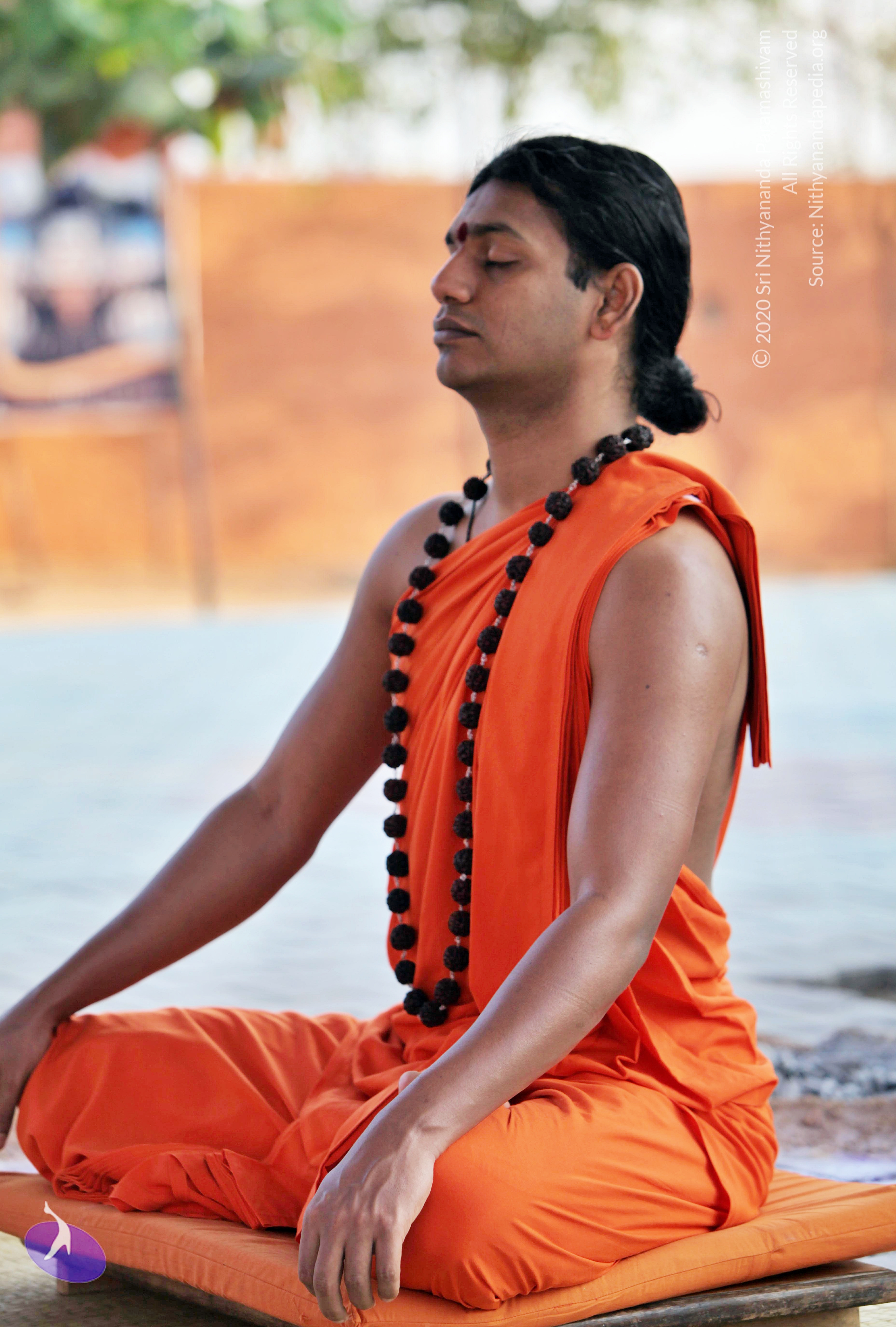 20110208_Photo_1010_IMG_5854_CMP_WM (1)