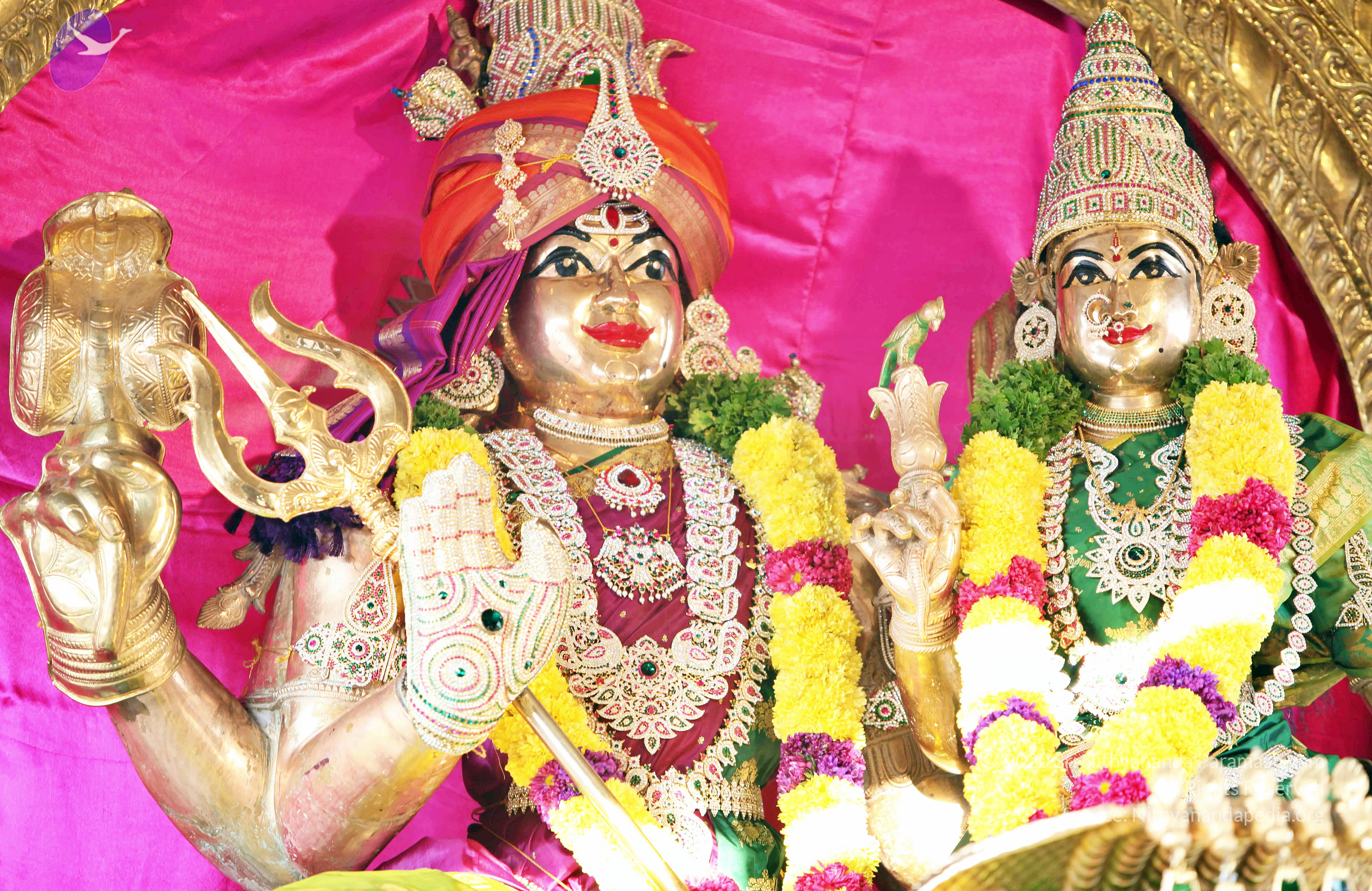 20110208_Photo_1011_IMG_5869_CMP_WM