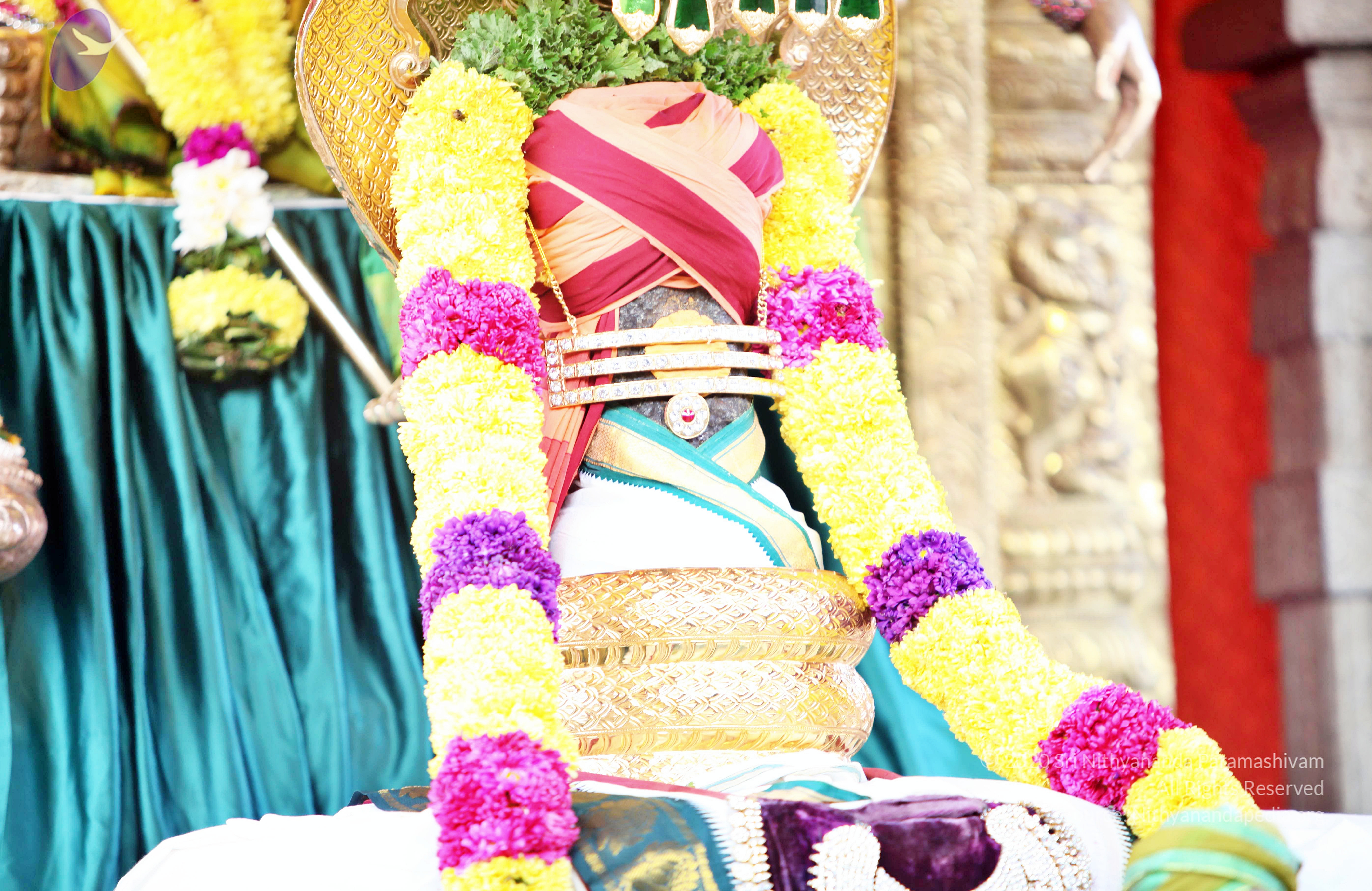 20110208_Photo_1013_IMG_5875_CMP_WM