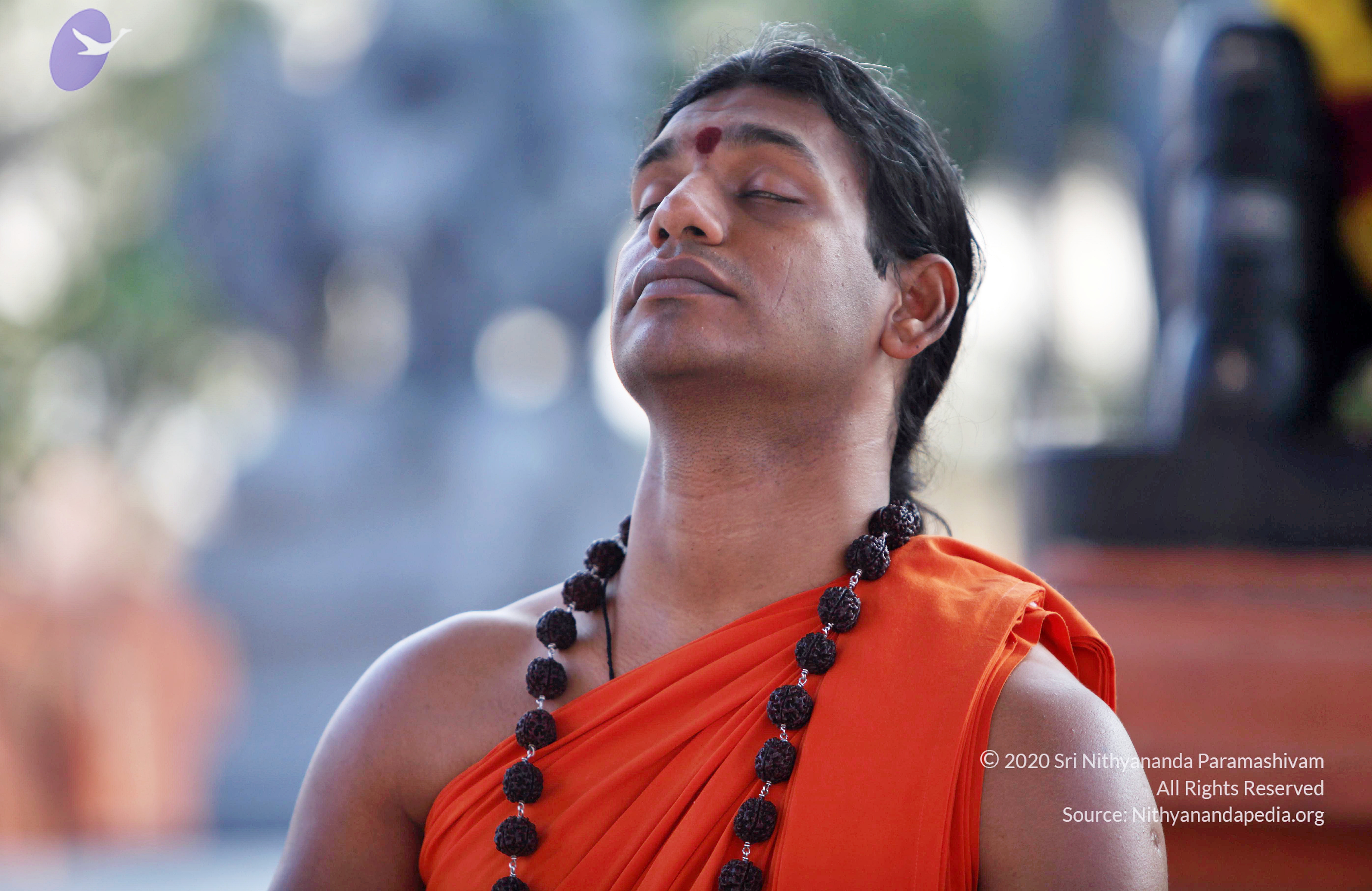 20110208_Photo_1016_IMG_5859_CMP_WM