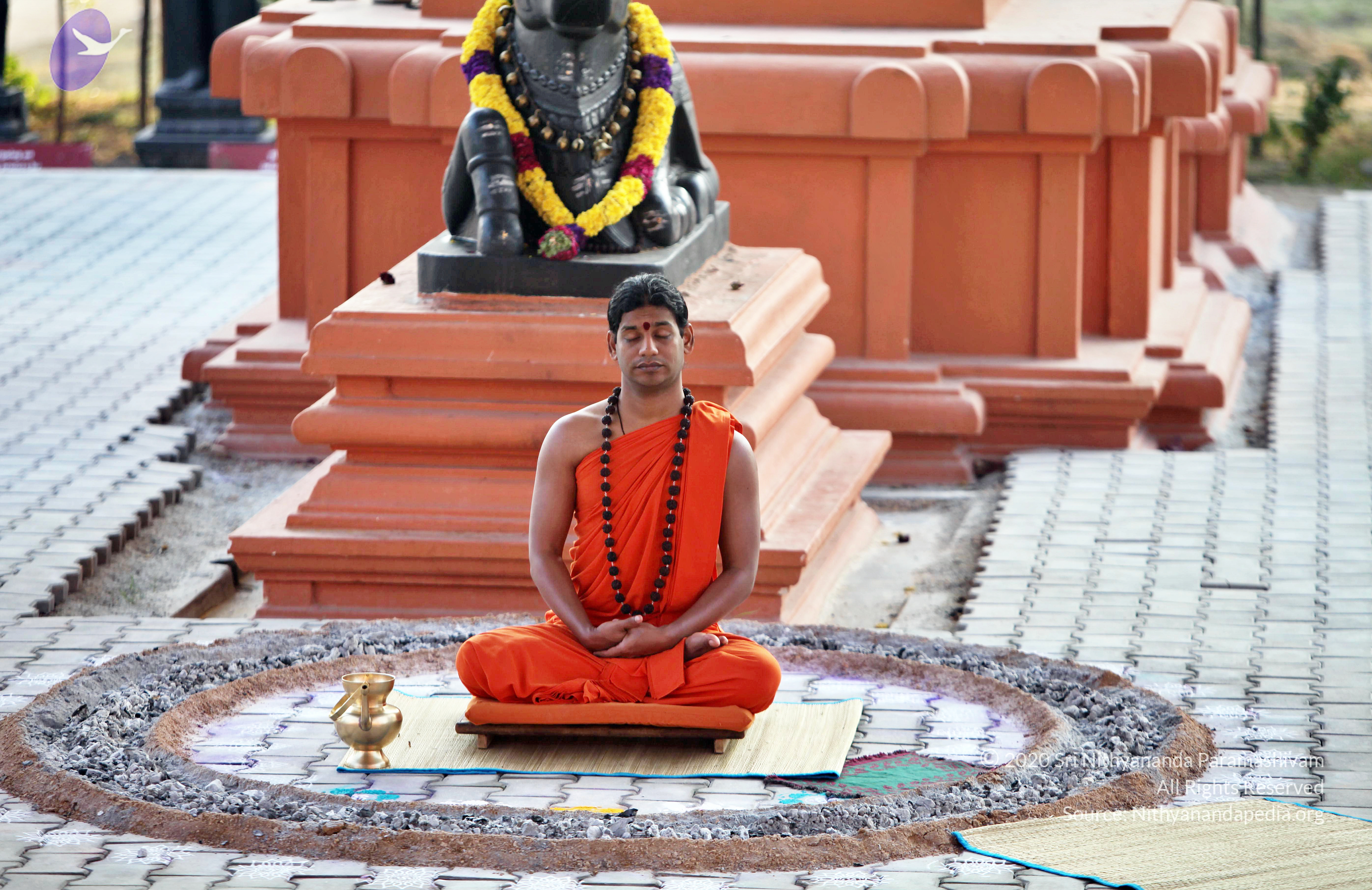 20110208_Photo_1018_IMG_5880_CMP_WM