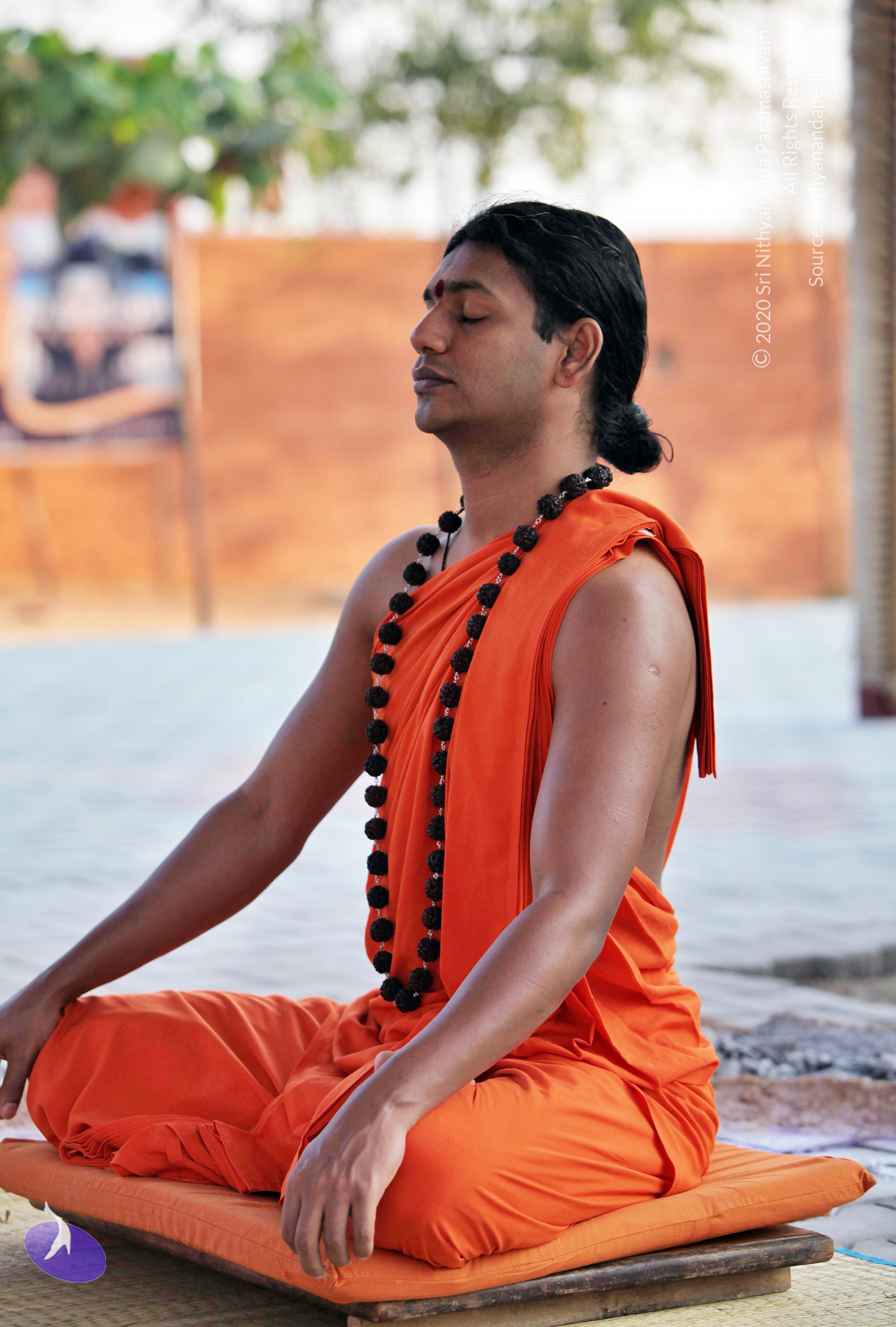 20110208_Photo_1024_IMG_5852_CMP_WM