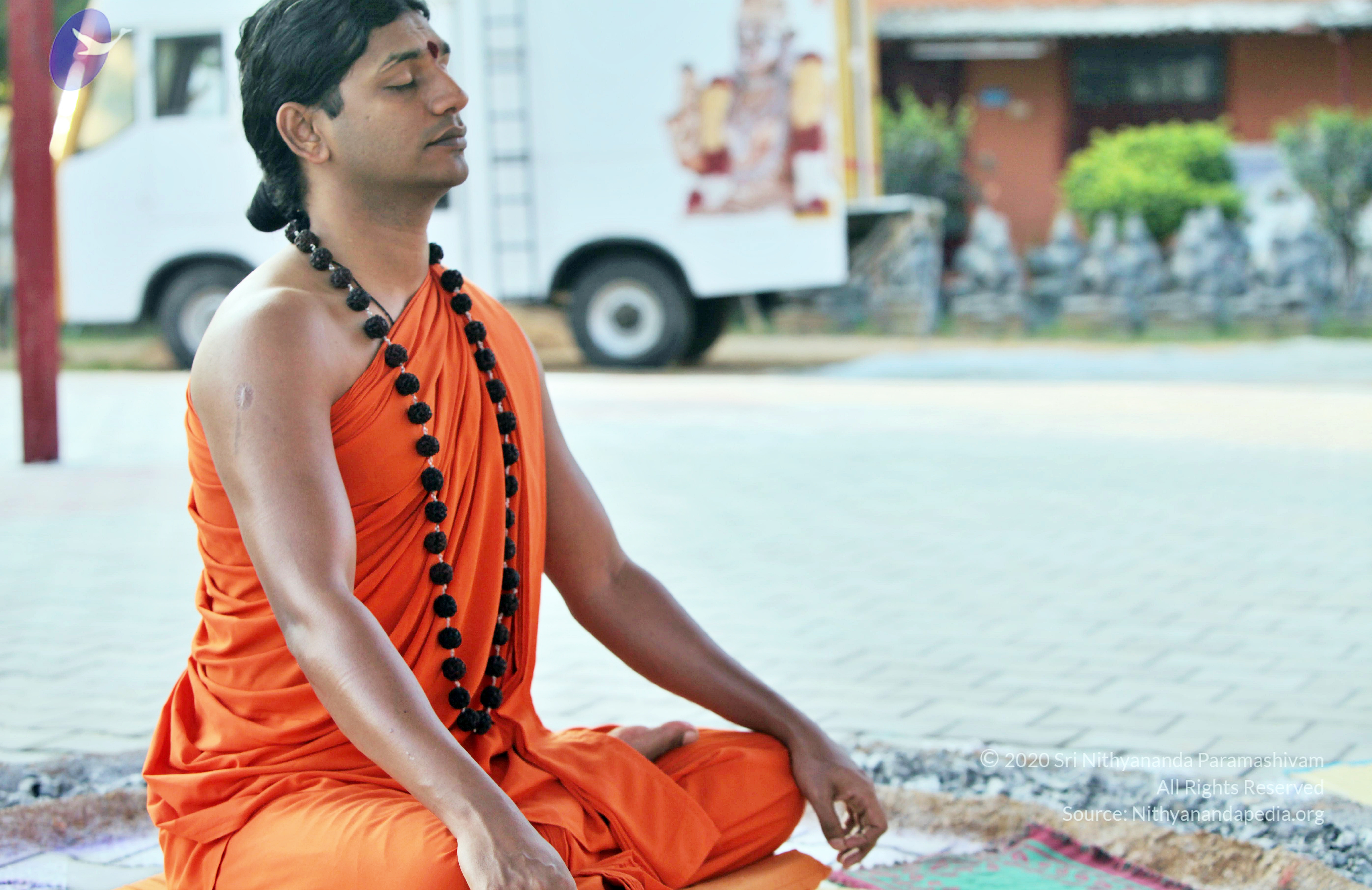 20110208_Photo_1027_IMG_5843_CMP_WM