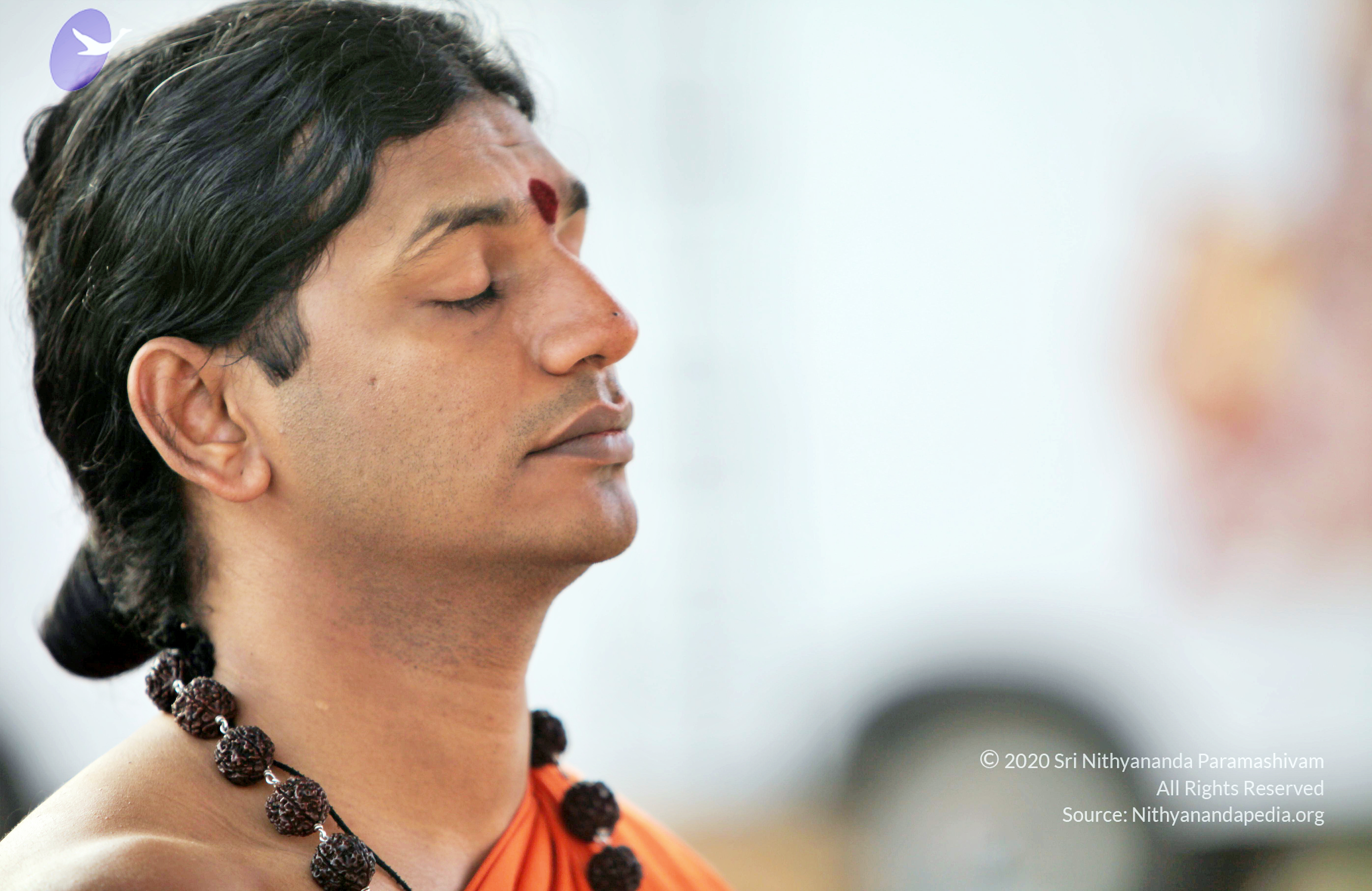 20110208_Photo_1040_IMG_5841_CMP_WM