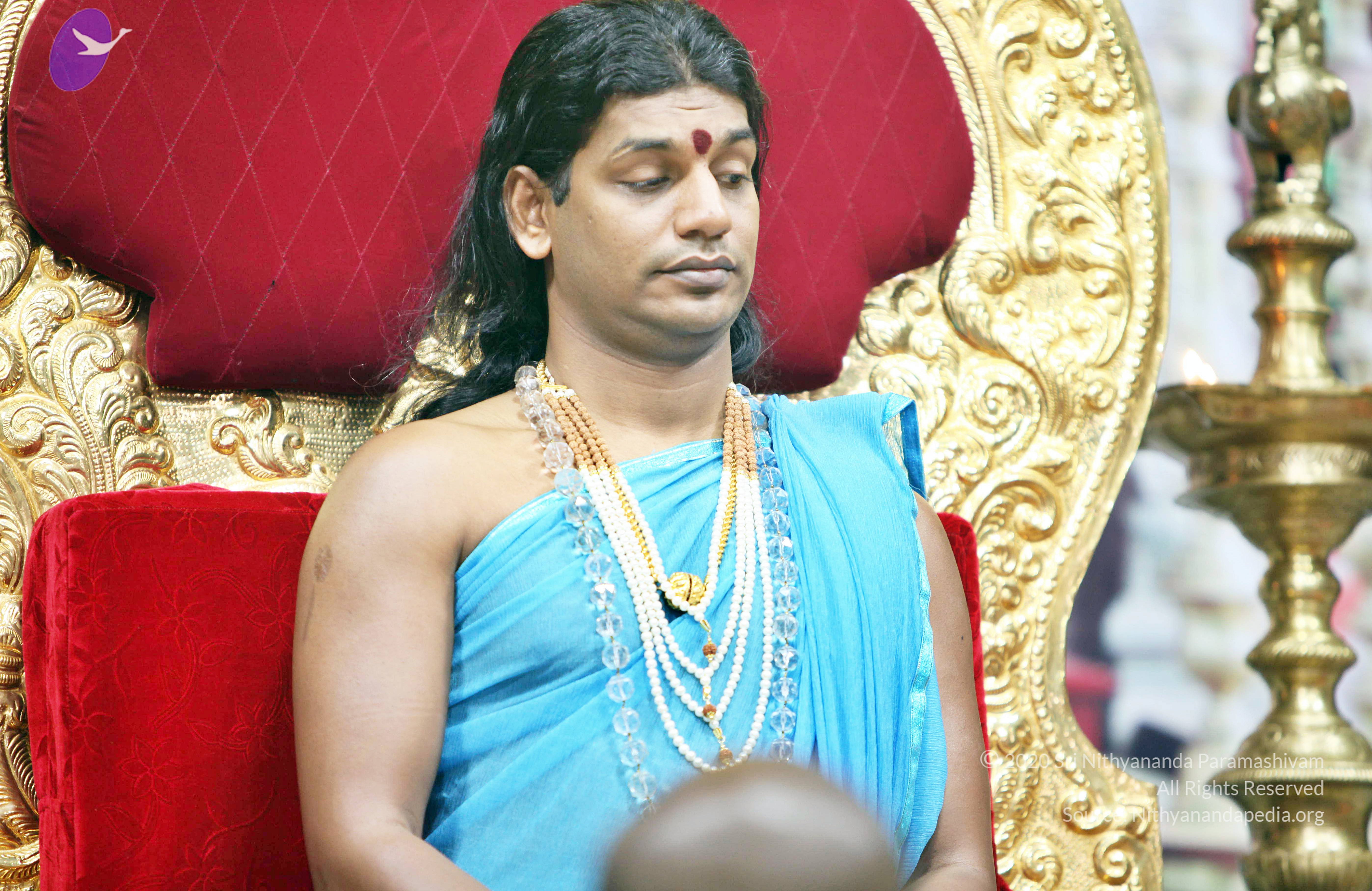 20110208_Photo_1032_IMG_5927_CMP_WM