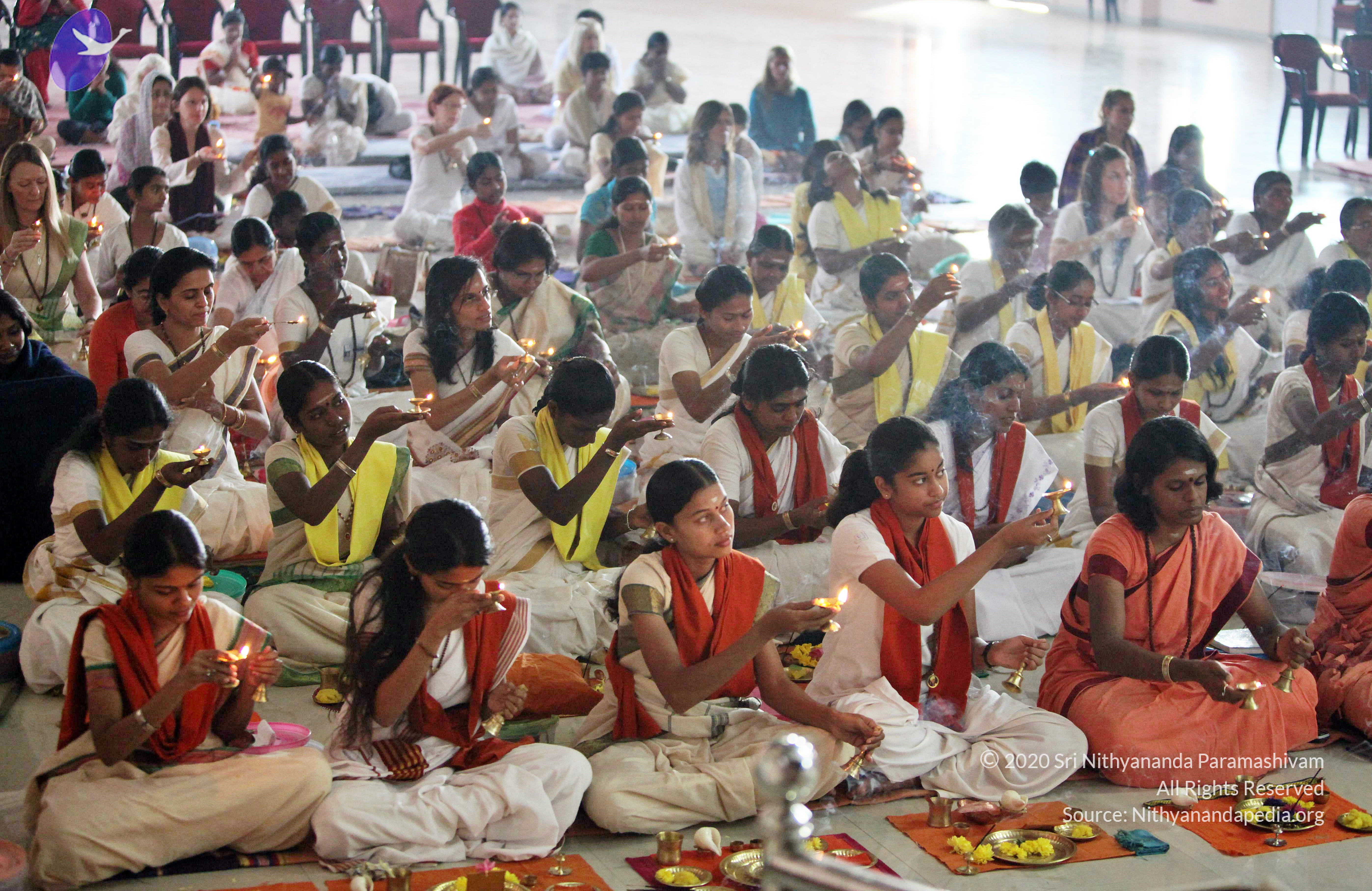 20110208_Photo_1035_IMG_5972_CMP_WM