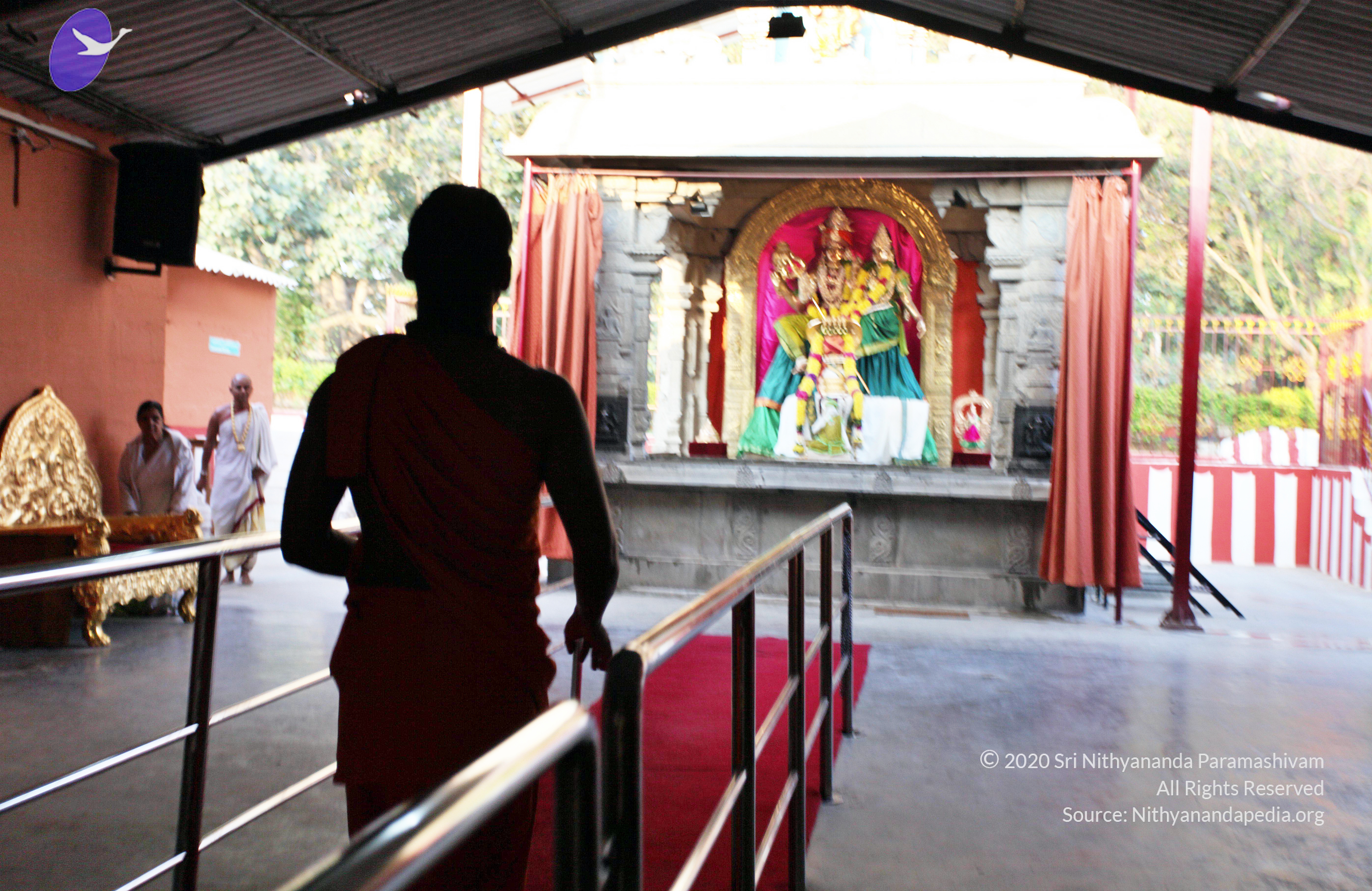 20110208_Photo_1000_IMG_5812_CMP_WM