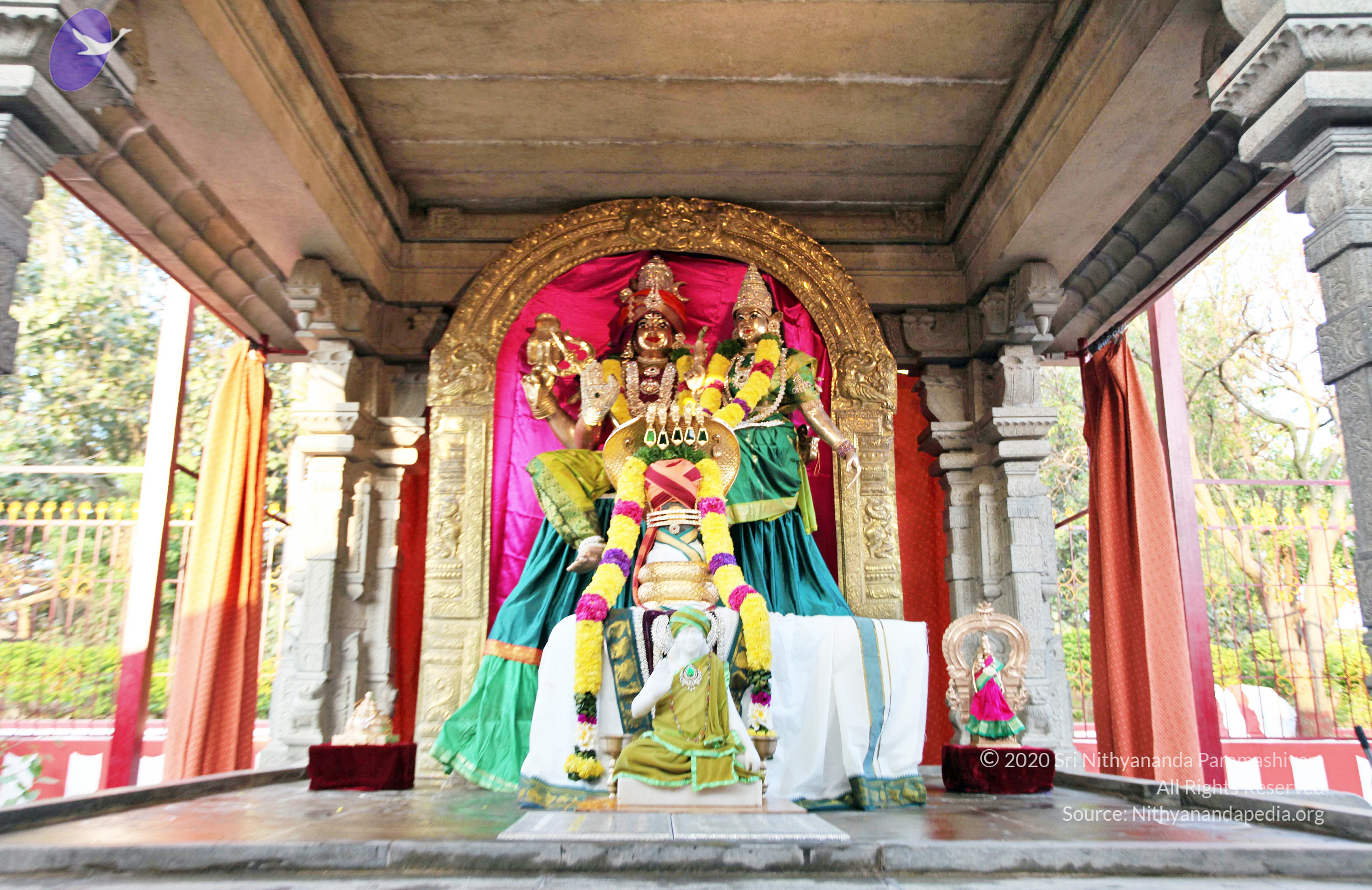 20110208_Photo_1014_IMG_5830_CMP_WM