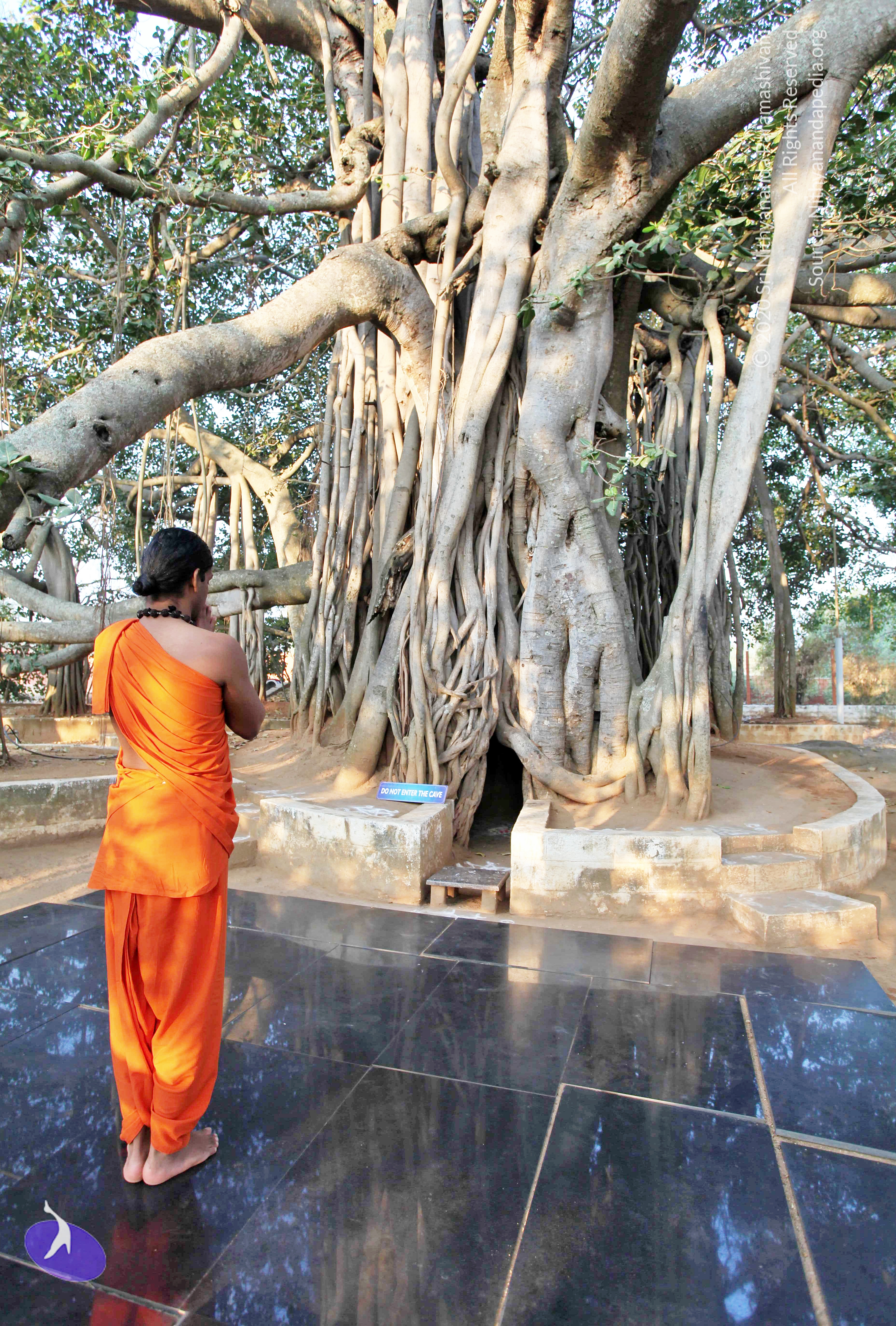 20110208_Photo_1025_IMG_5826_CMP_WM