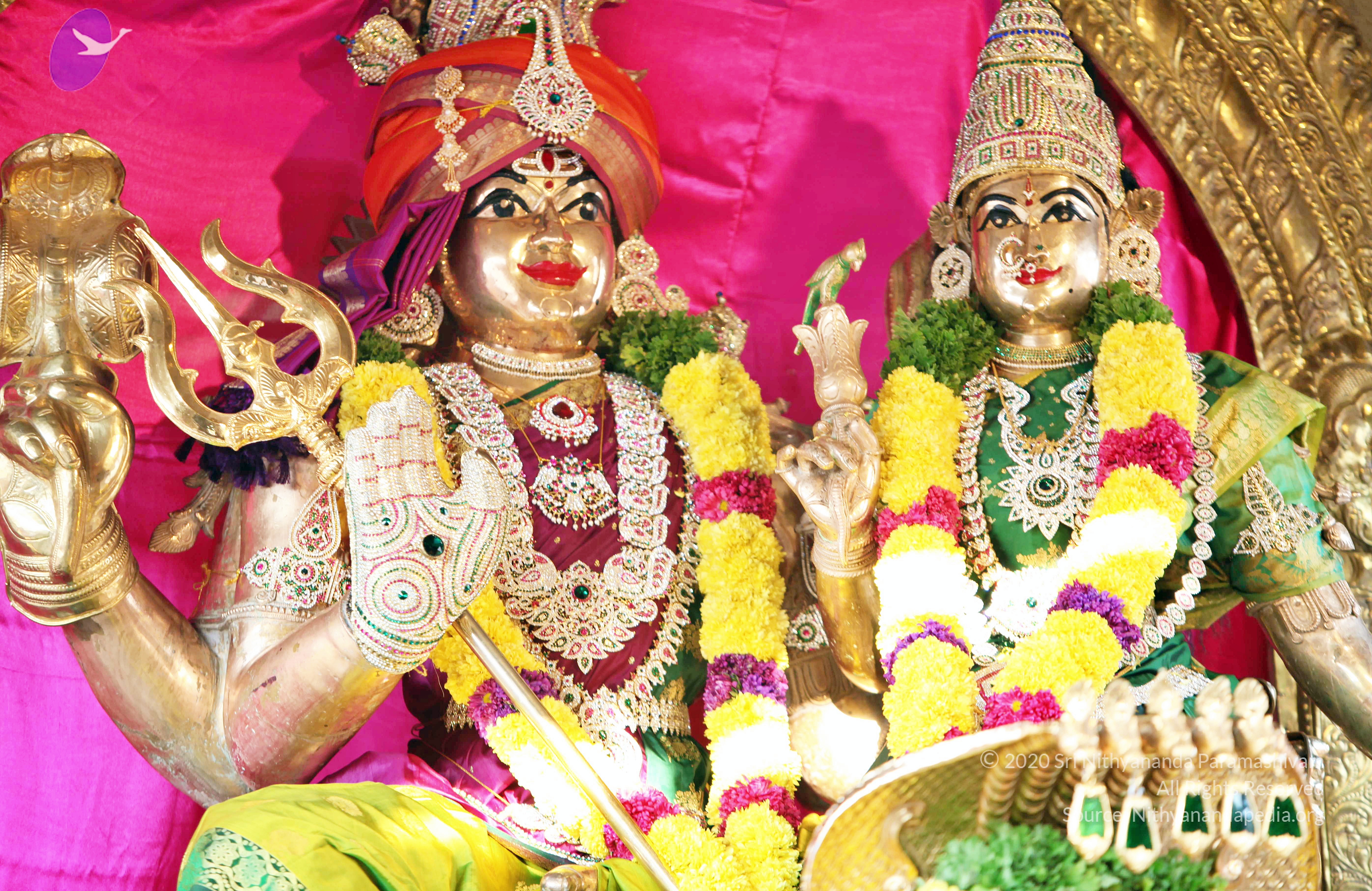 20110208_Photo_1002_IMG_5870_CMP_WM