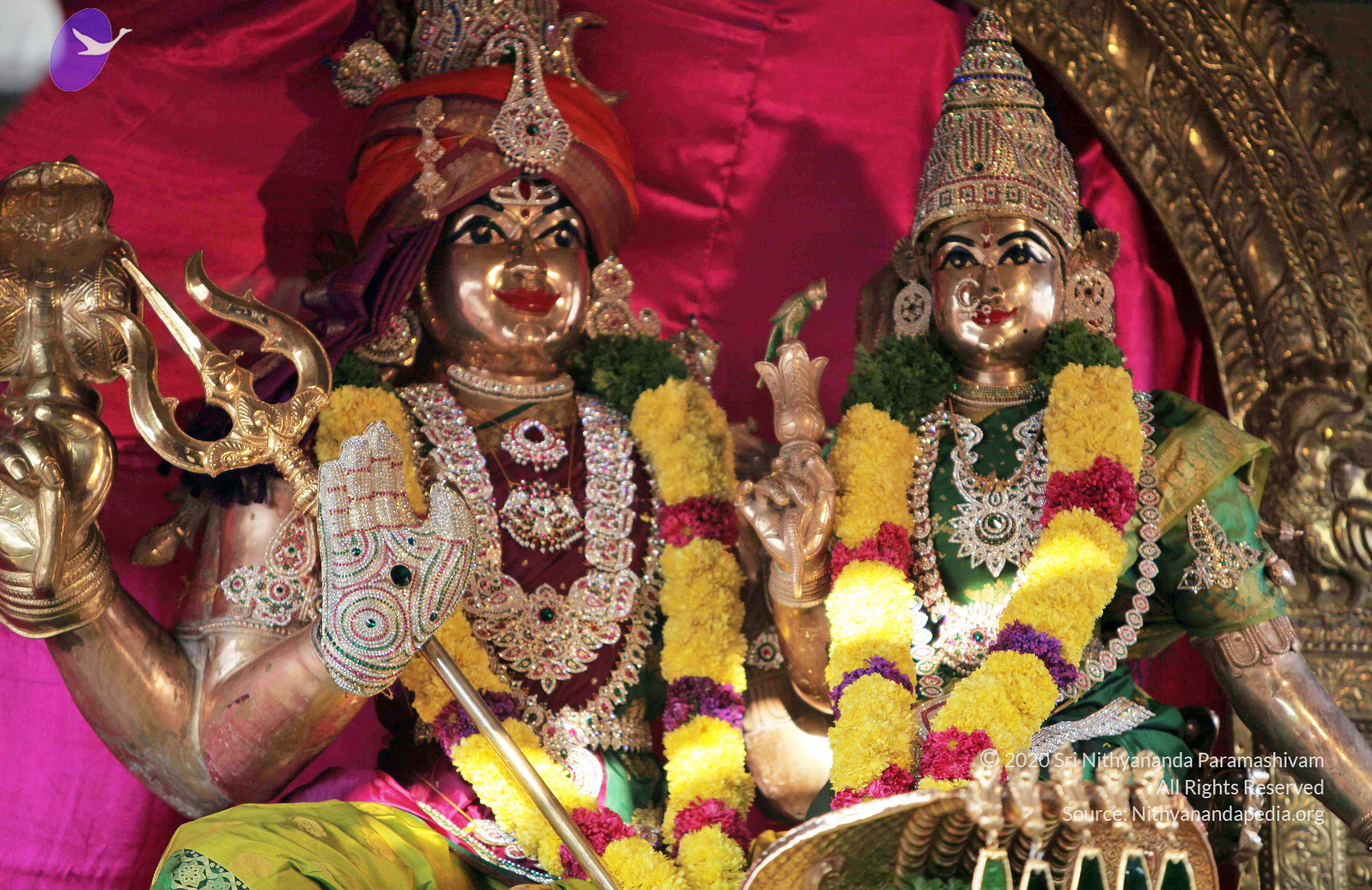 20110208_Photo_1008_IMG_5864_CMP_WM