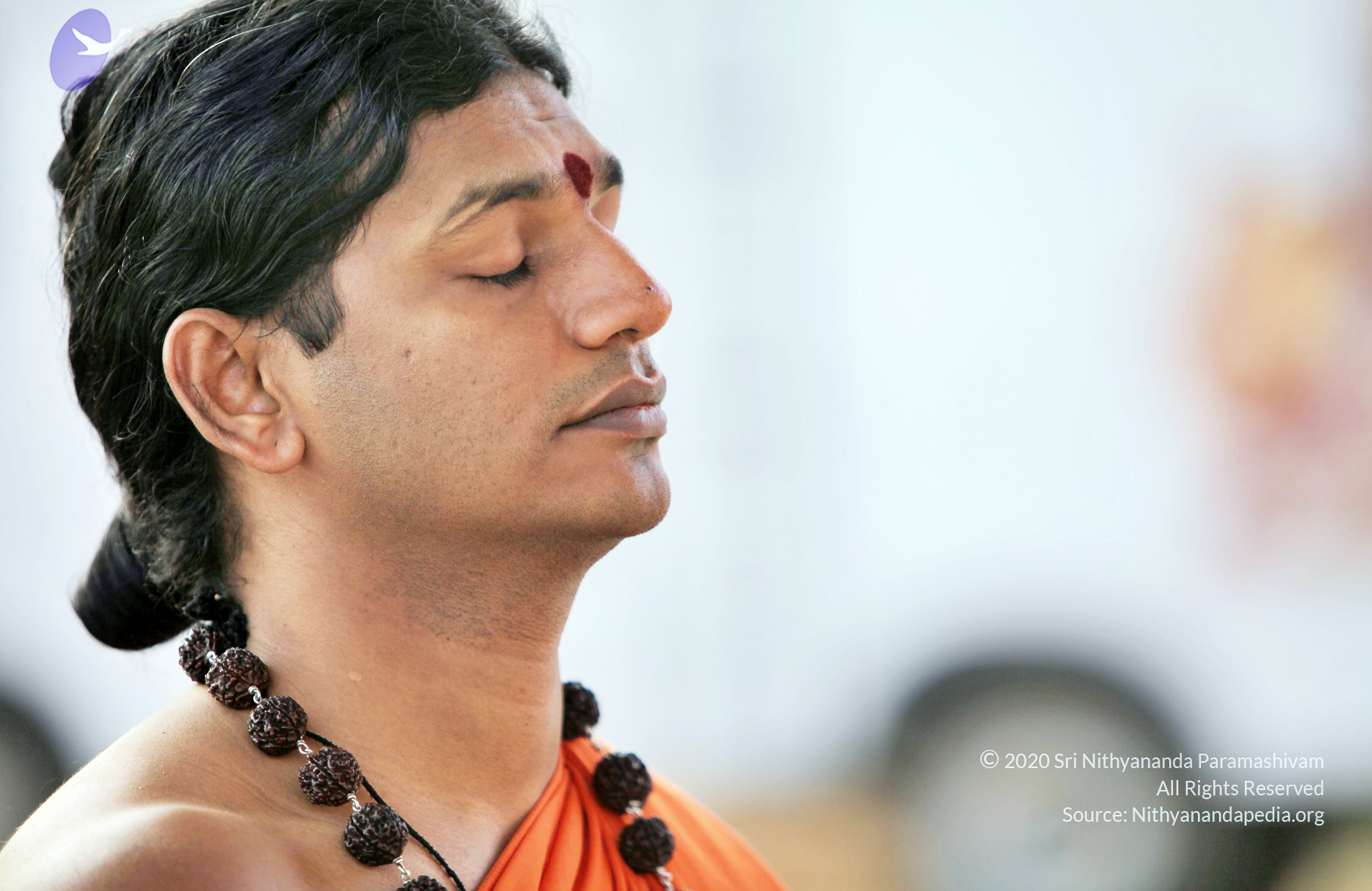 20110208_Photo_1012_IMG_5842_CMP_WM