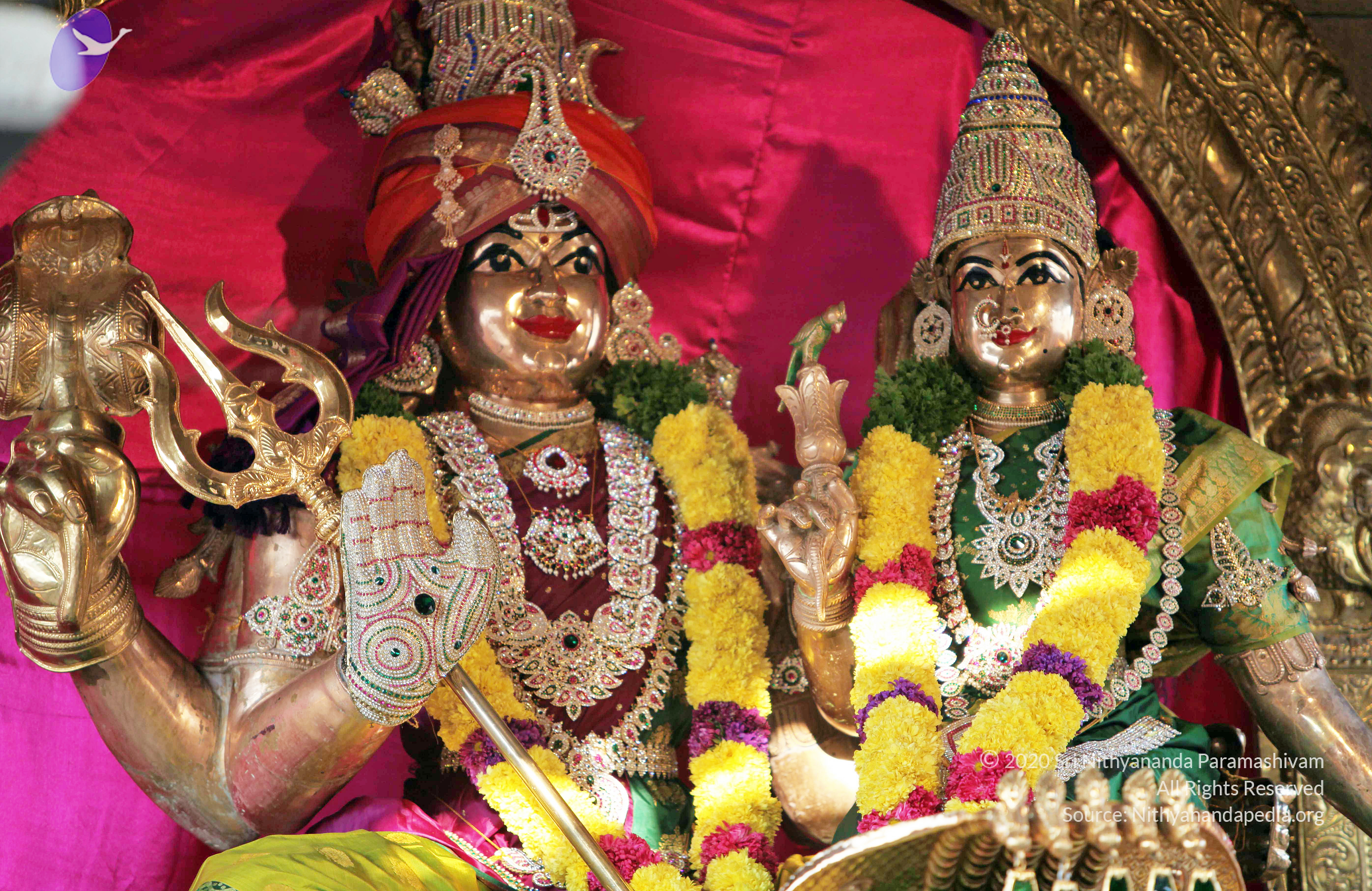 20110208_Photo_1020_IMG_5866_CMP_WM