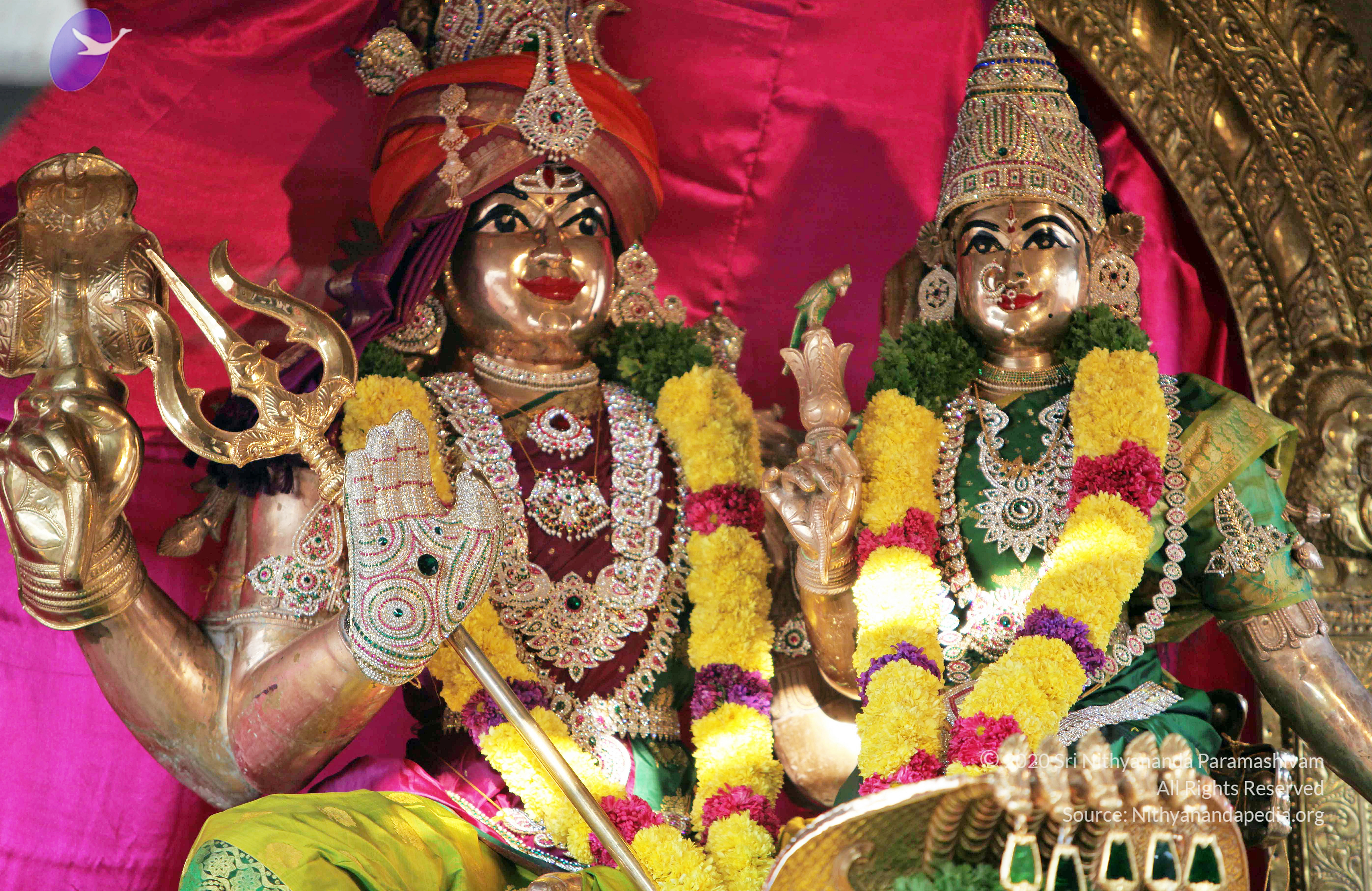 20110208_Photo_1023_IMG_5865_CMP_WM