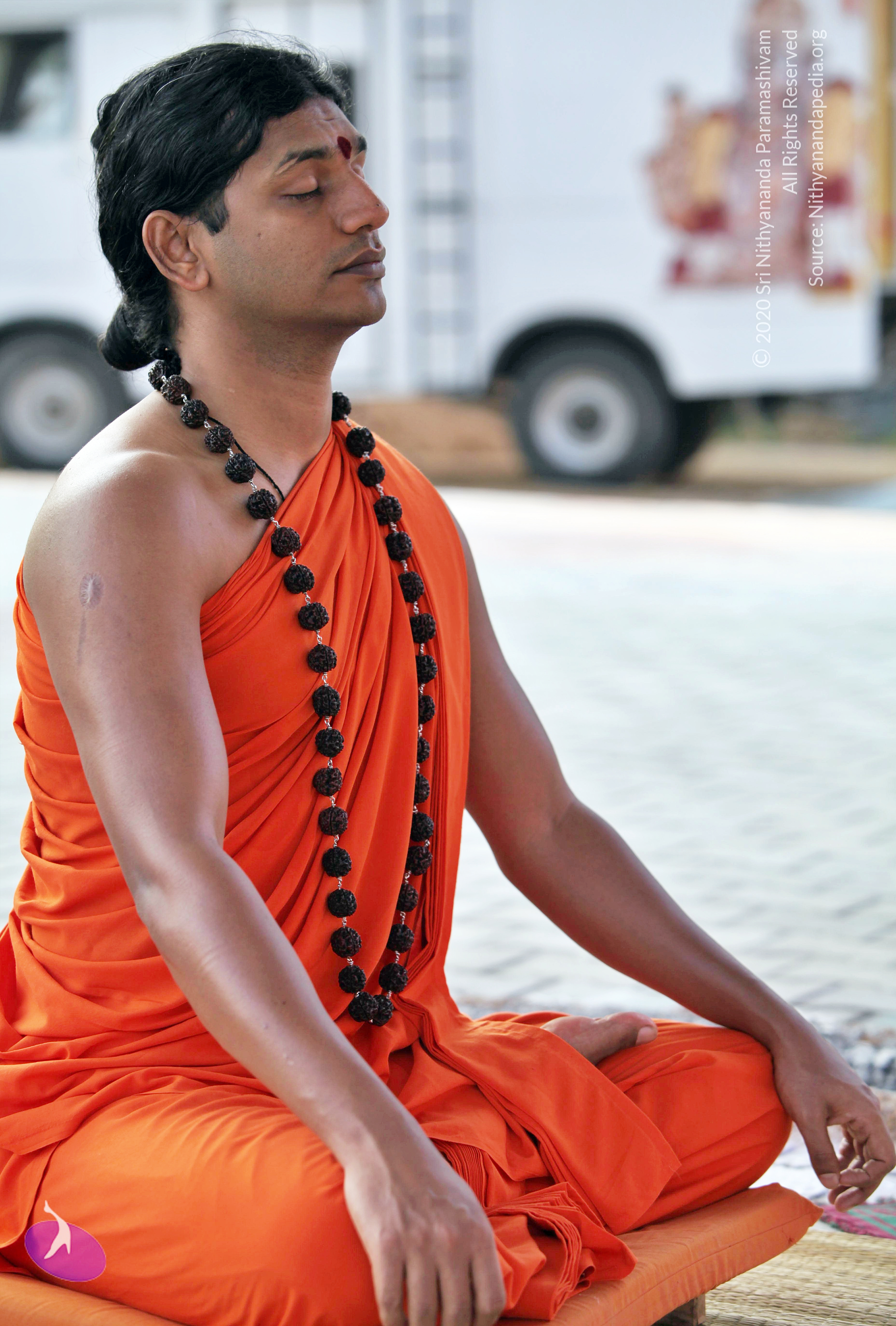 20110208_Photo_1031_IMG_5846_CMP_WM