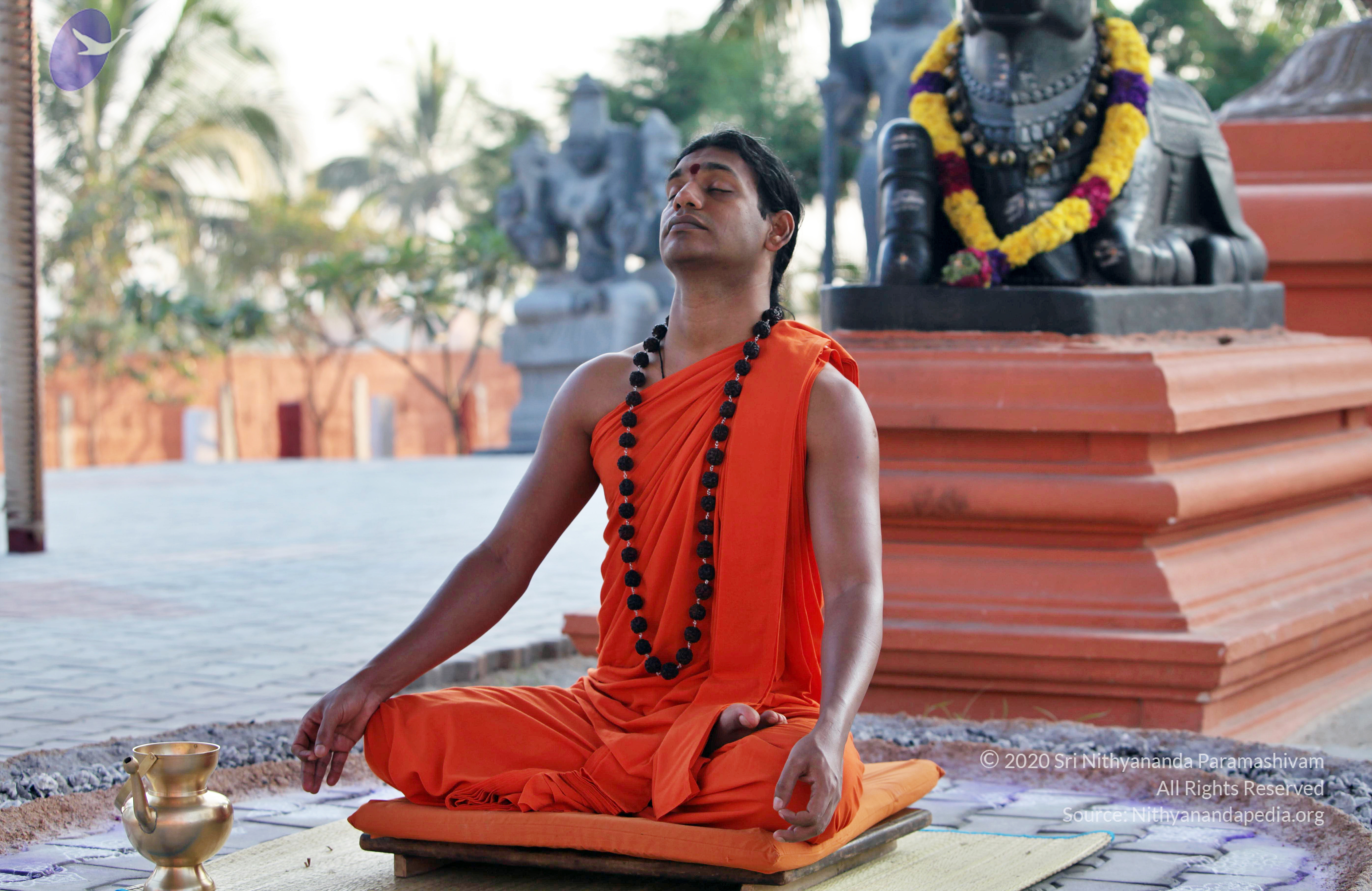 20110208_Photo_1034_IMG_5860_CMP_WM