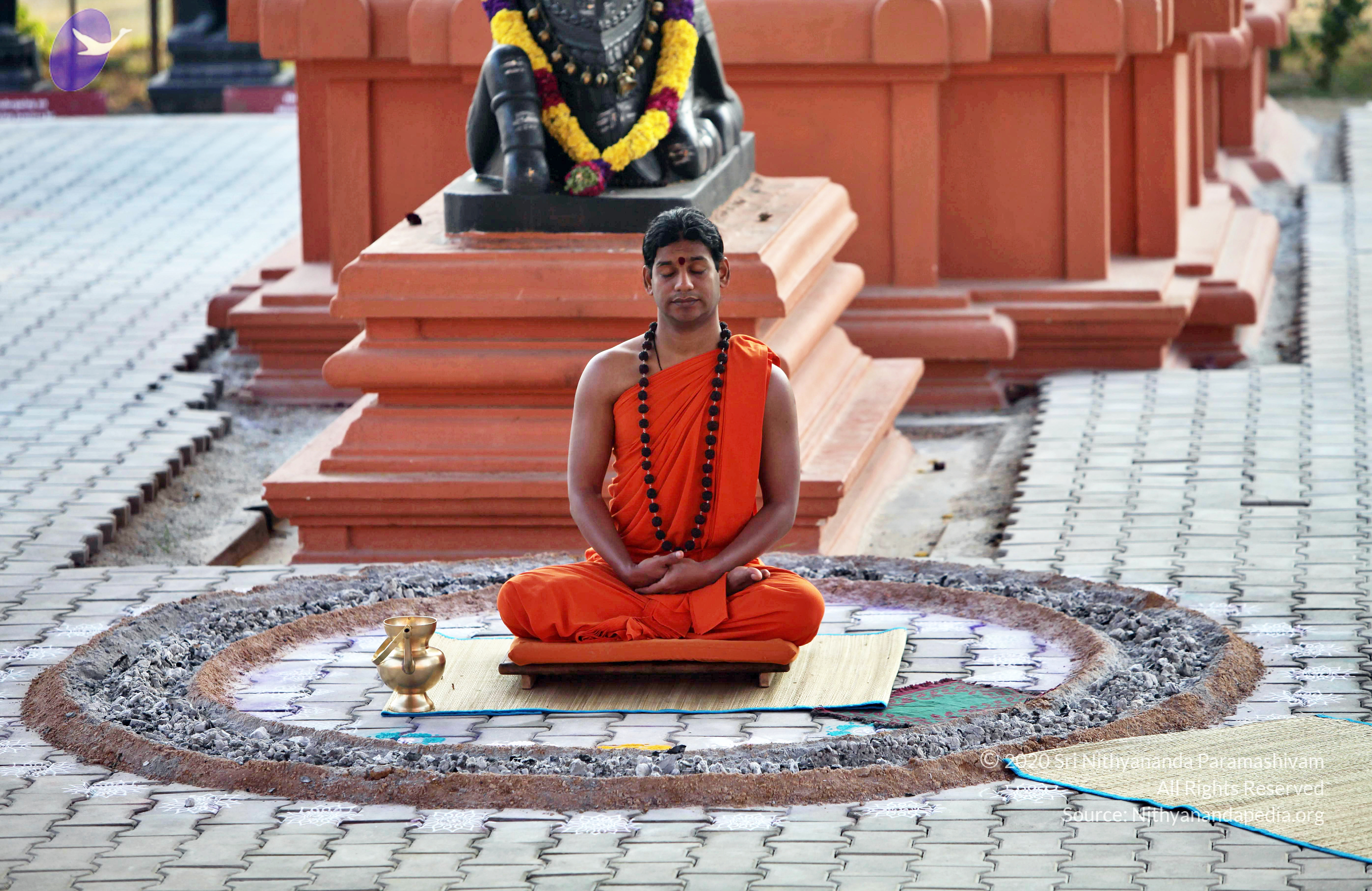 20110208_Photo_1036_IMG_5884_CMP_WM