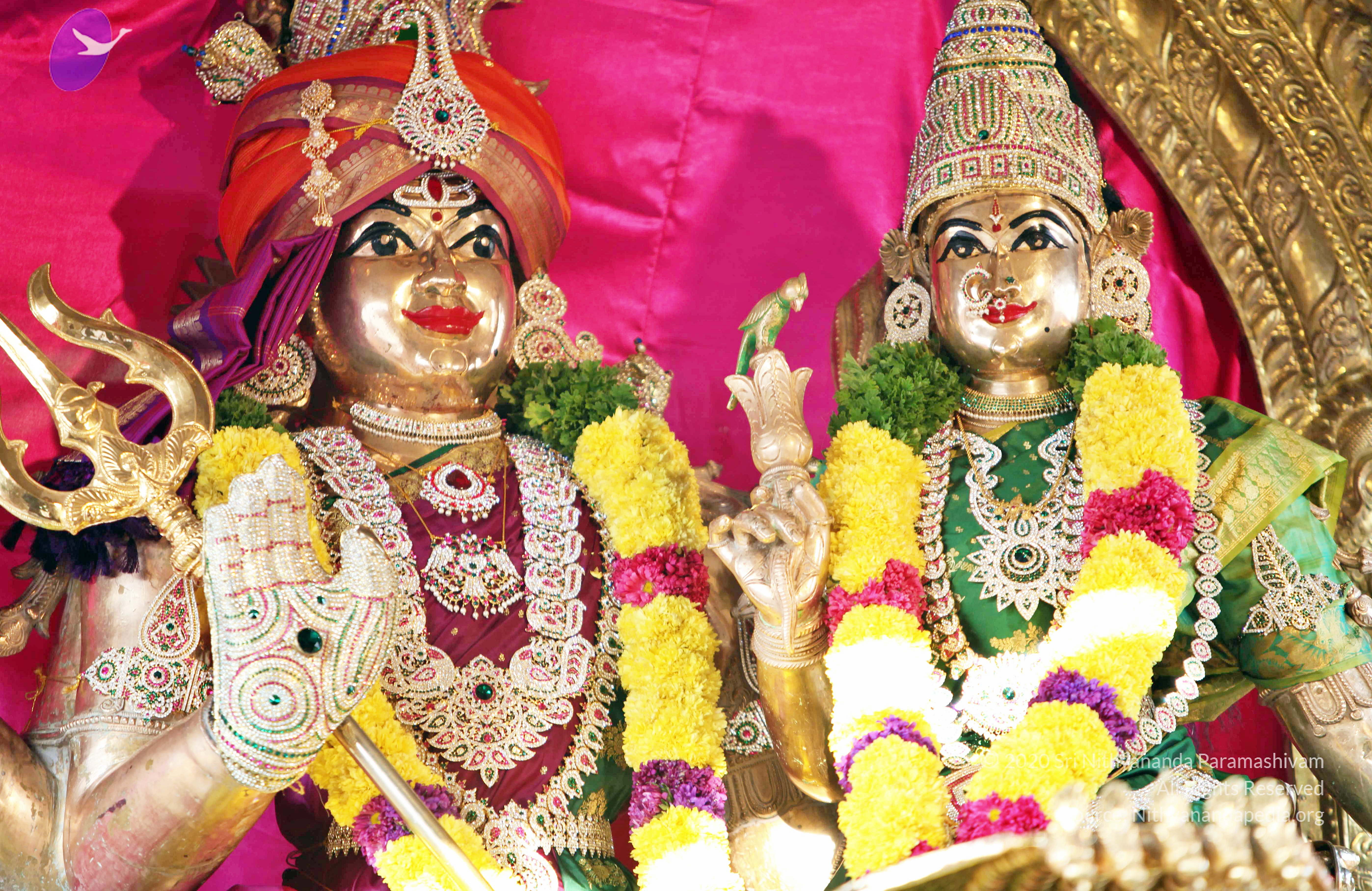 20110208_Photo_1039_IMG_5876_CMP_WM