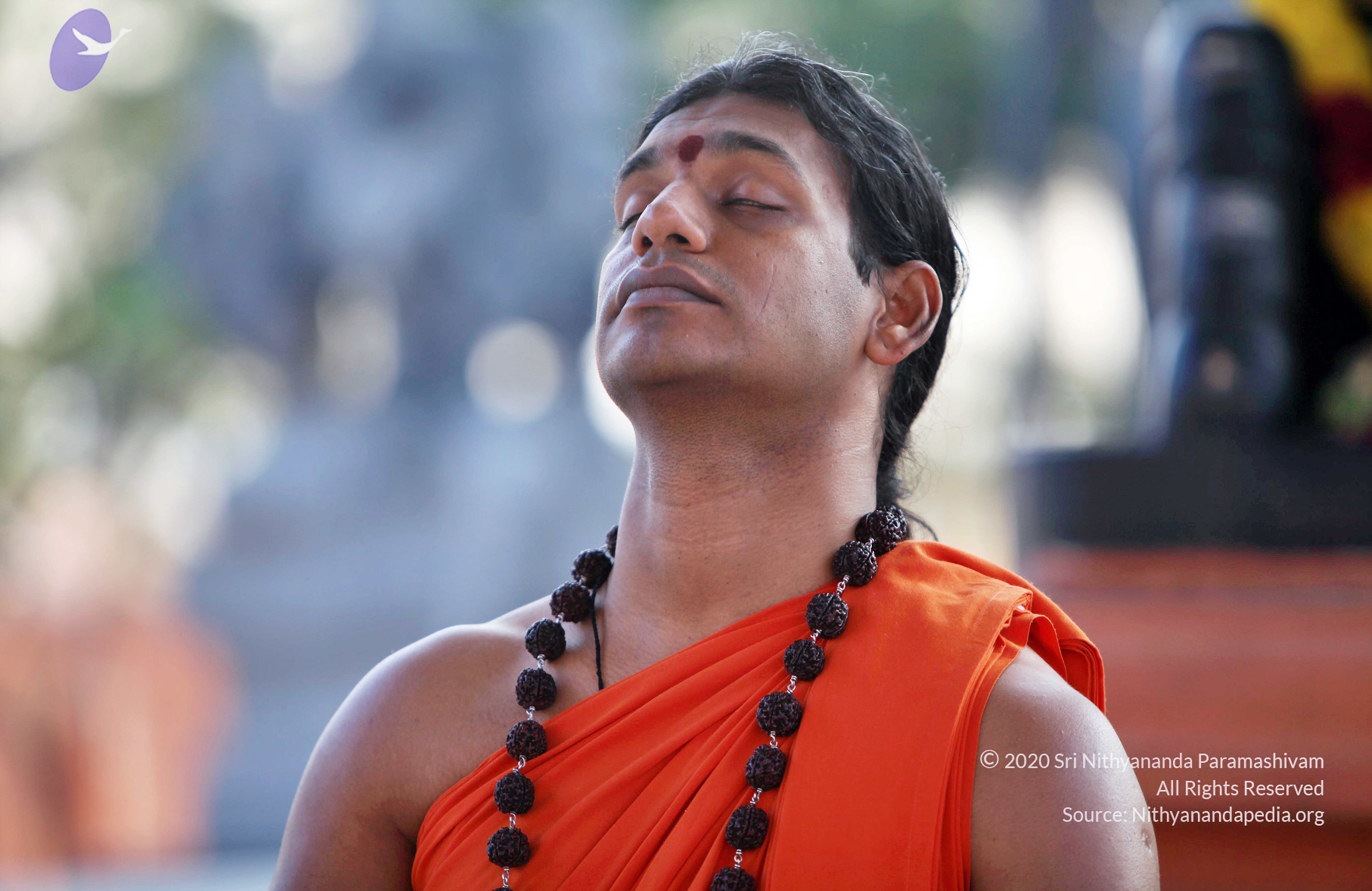 20110208_Photo_1043_IMG_5858_CMP_WM