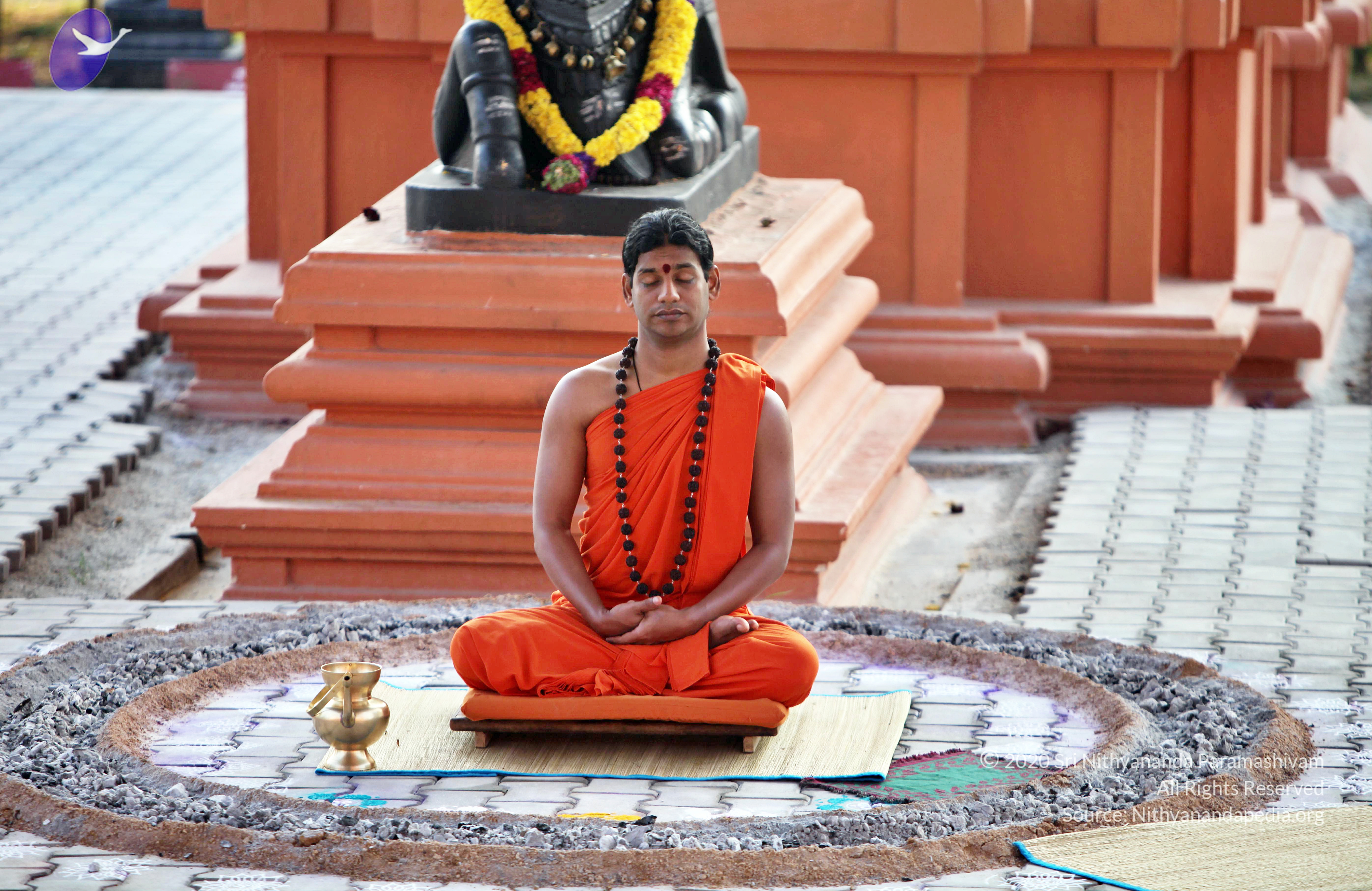 20110208_Photo_1045_IMG_5881_CMP_WM