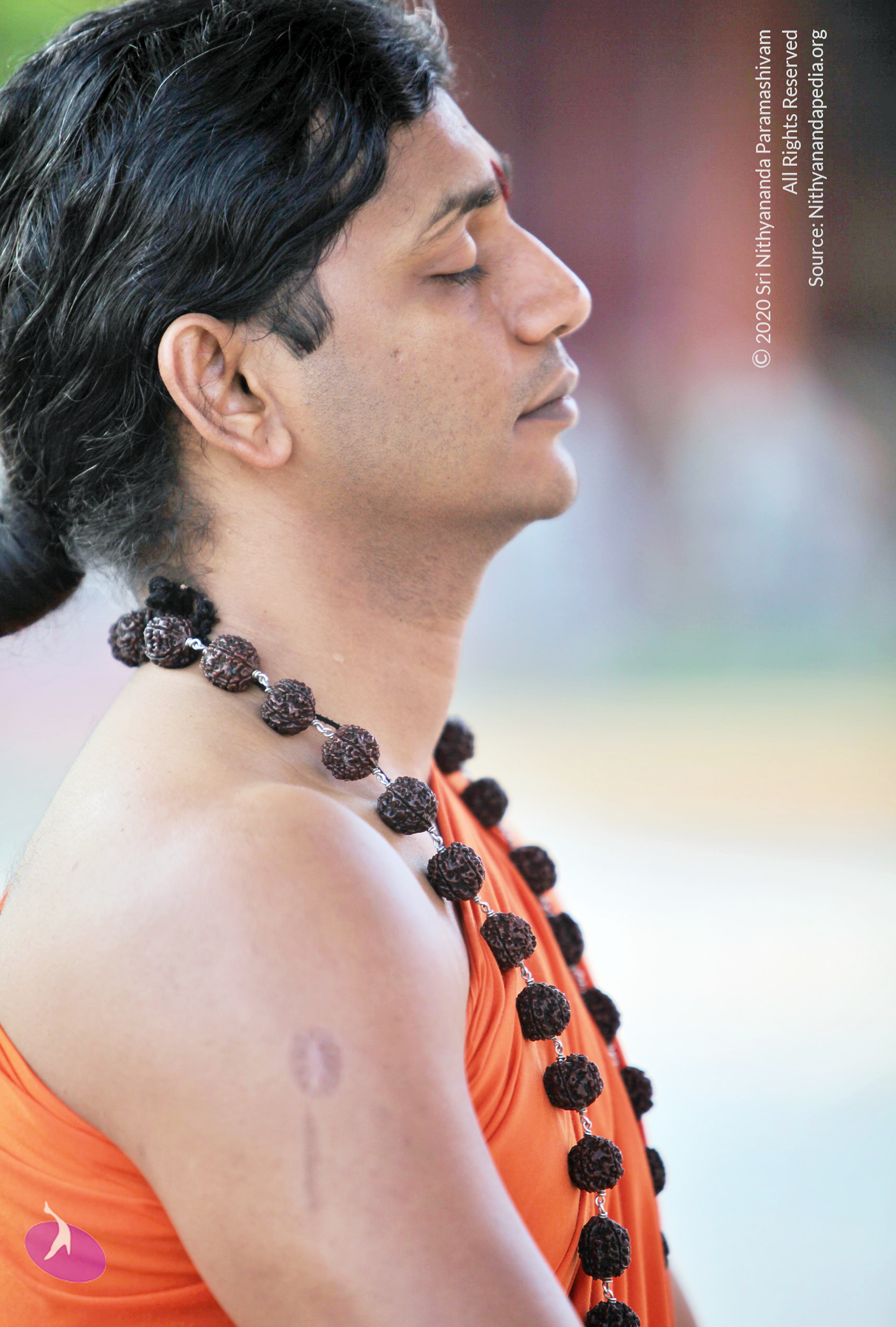 20110208_Photo_1046_IMG_5837_CMP_WM