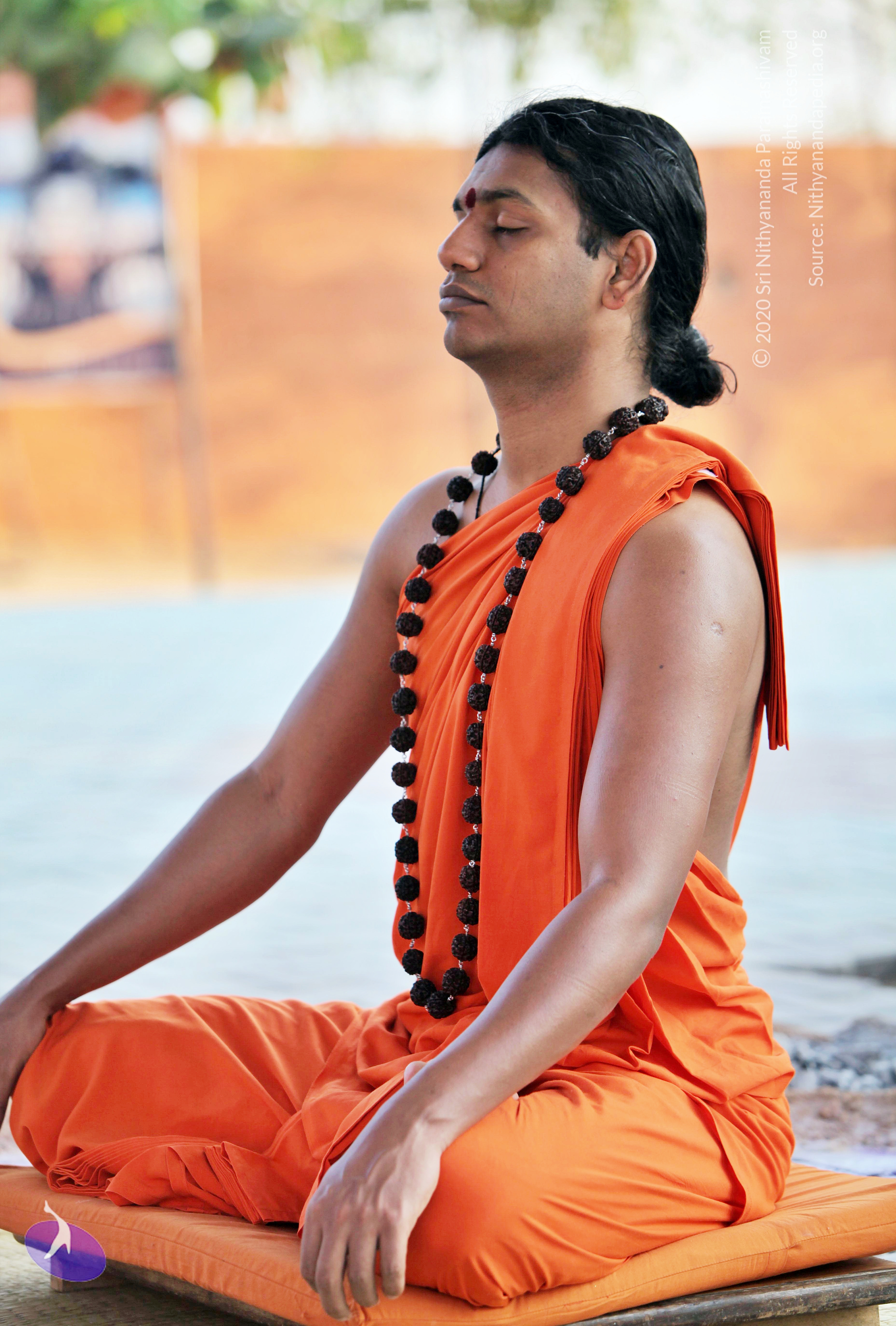 20110208_Photo_1048_IMG_5855_CMP_WM