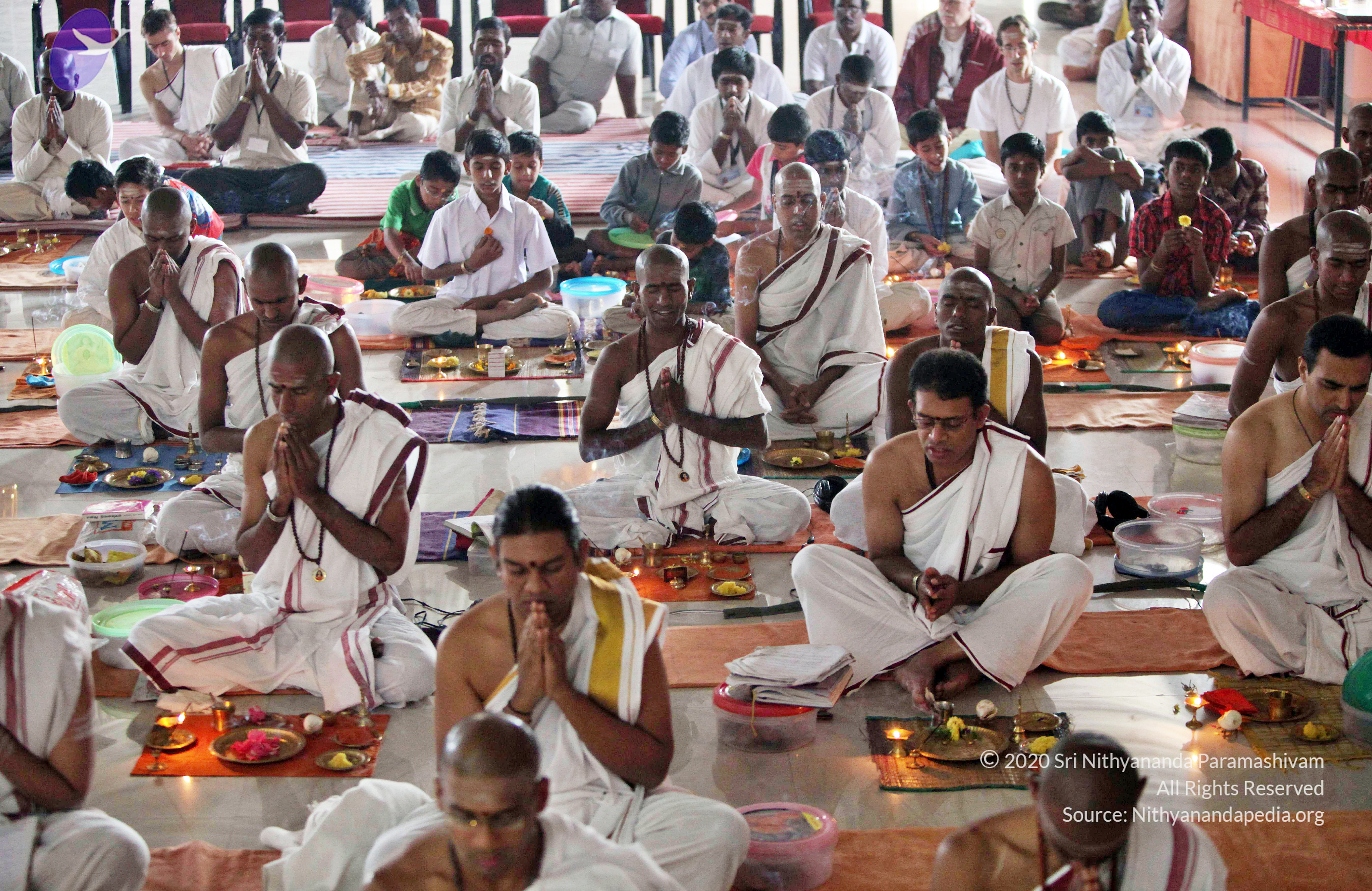 20110208_Photo_1047_IMG_5992_CMP_WM