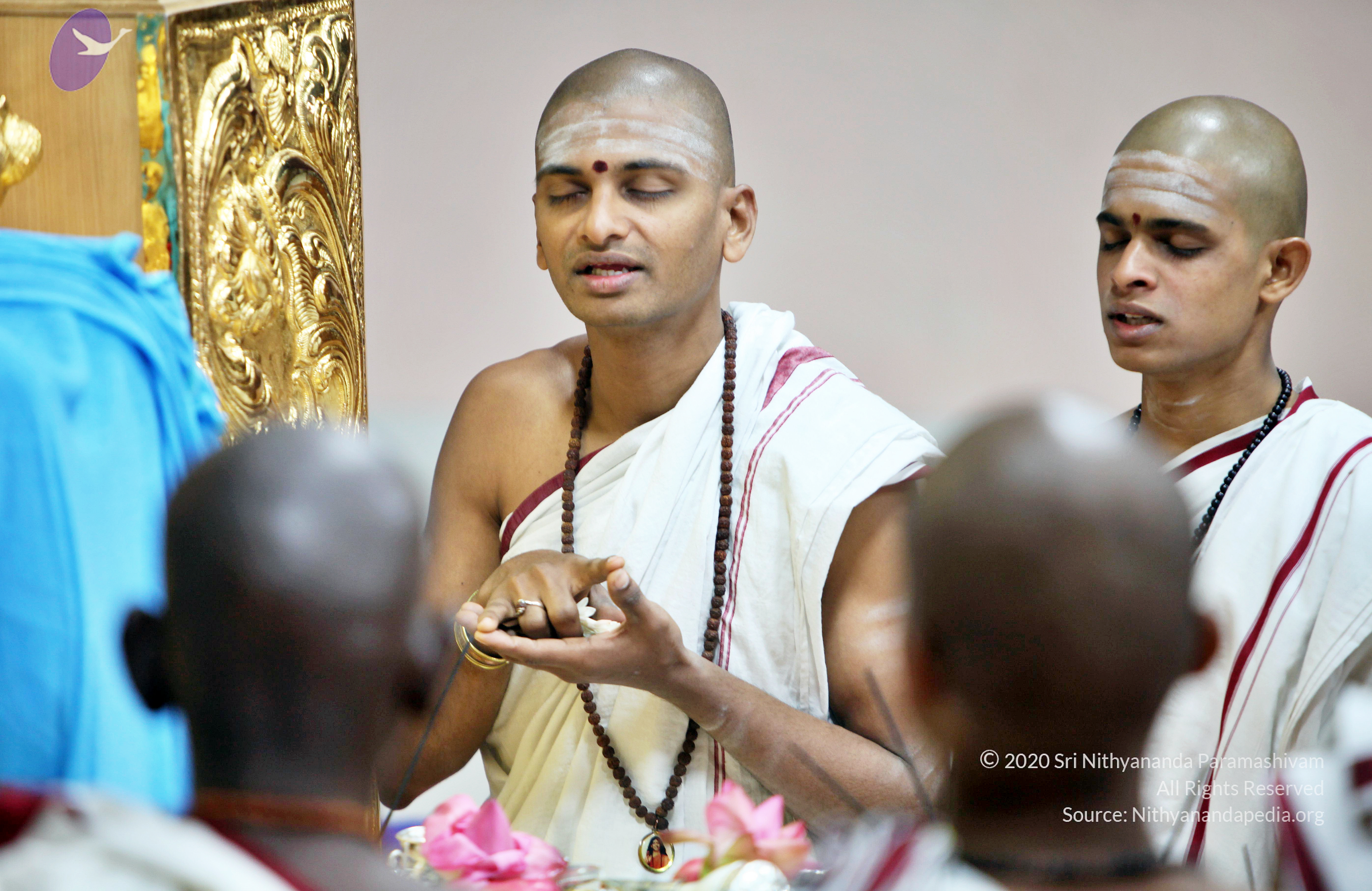 20110208_Photo_1066_IMG_5943_CMP_WM