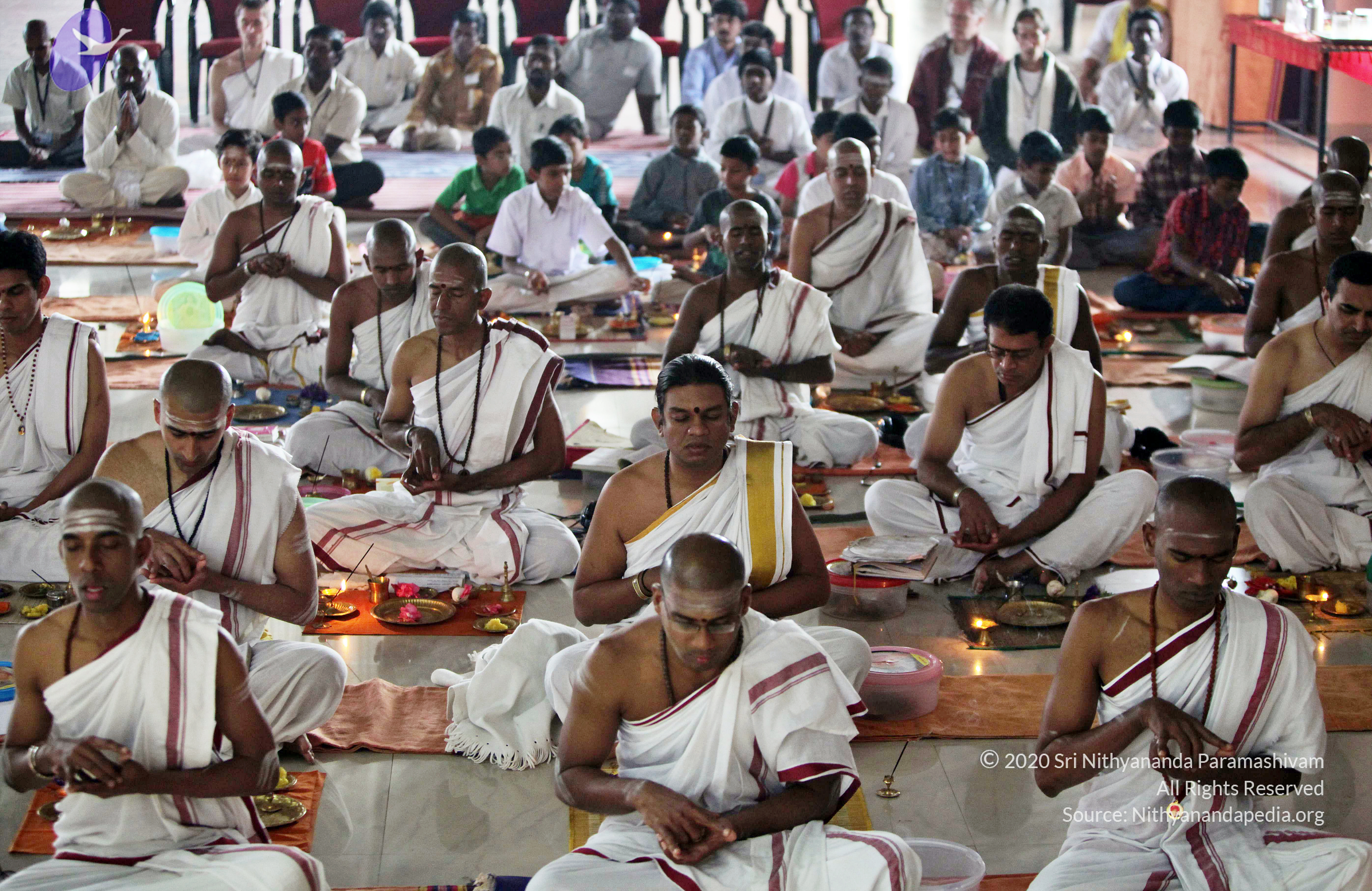 20110208_Photo_1077_IMG_5944_CMP_WM