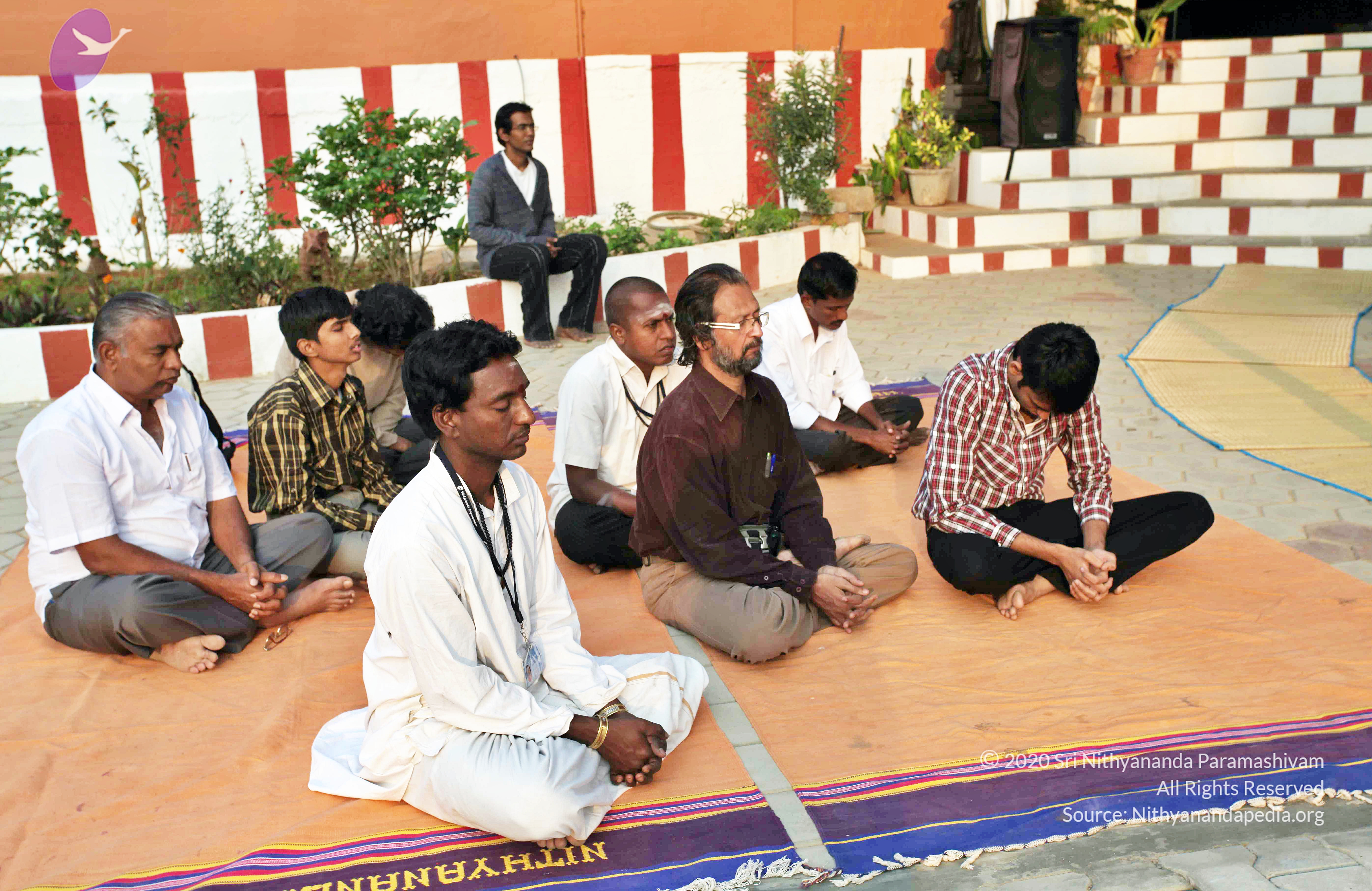 20110216_Photo_1001_IMG_1023_CMP_WM