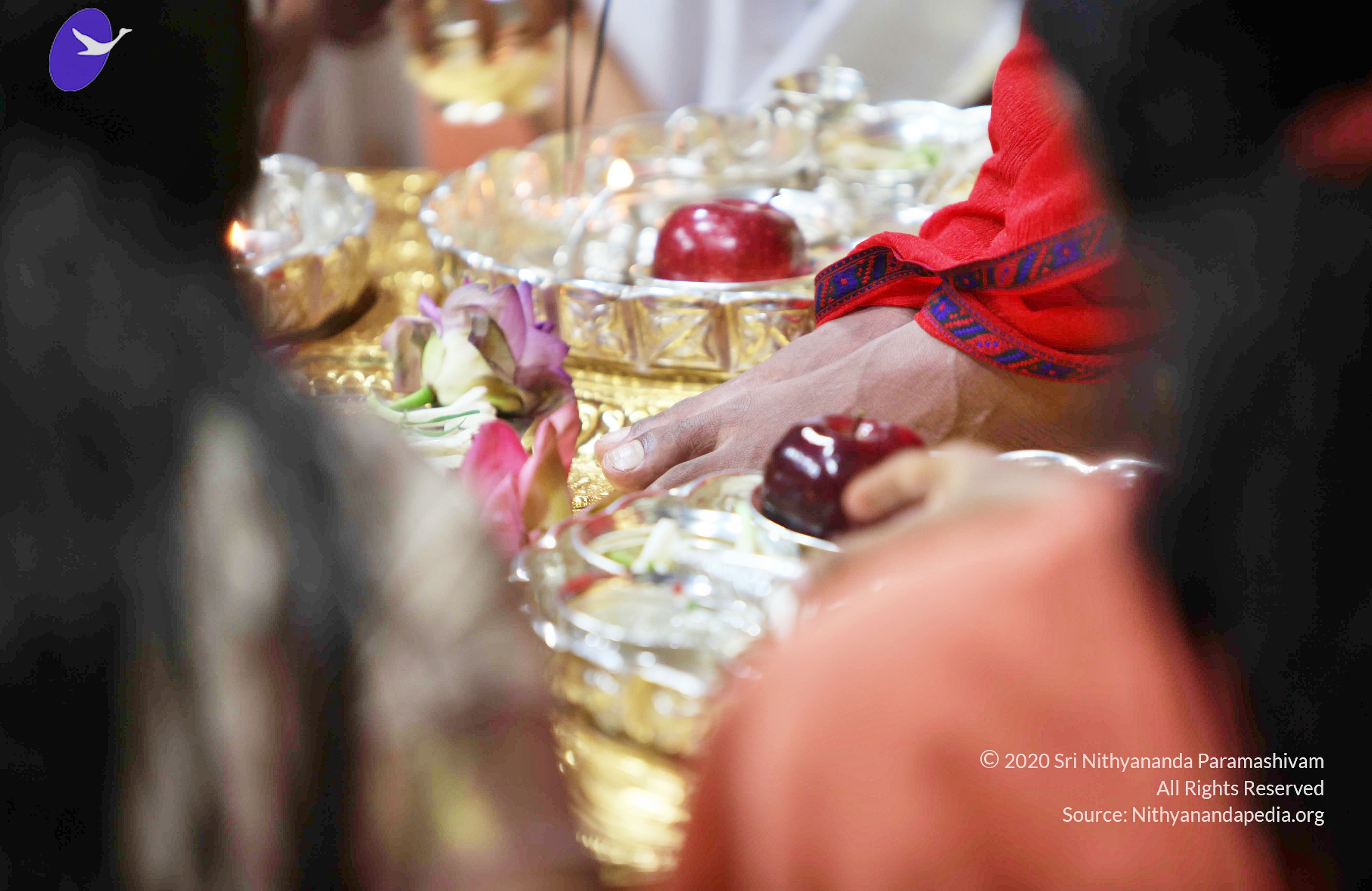 20110216_Photo_1015_IMG_1071_CMP_WM