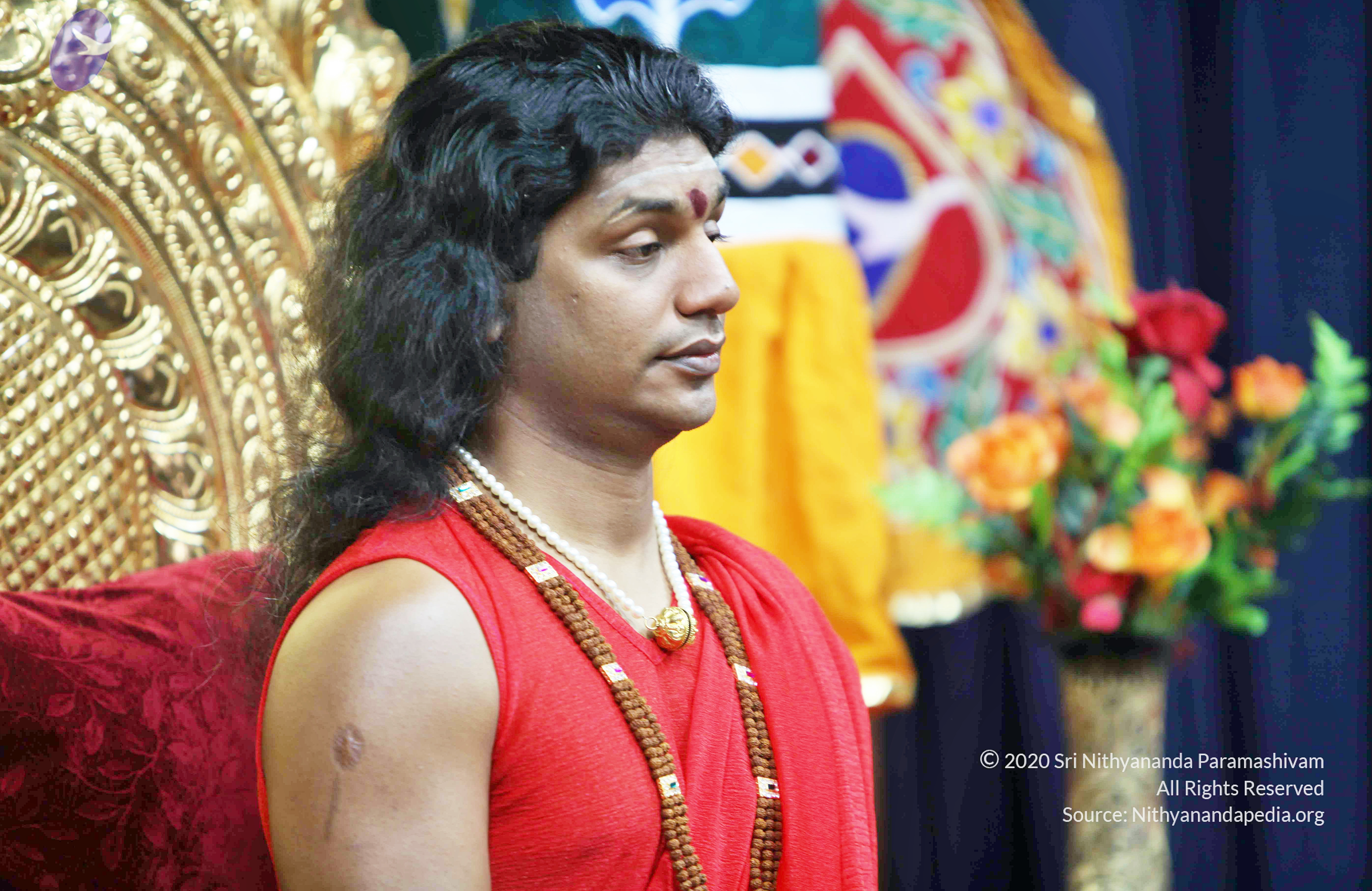 20110216_Photo_1016_IMG_1089_CMP_WM