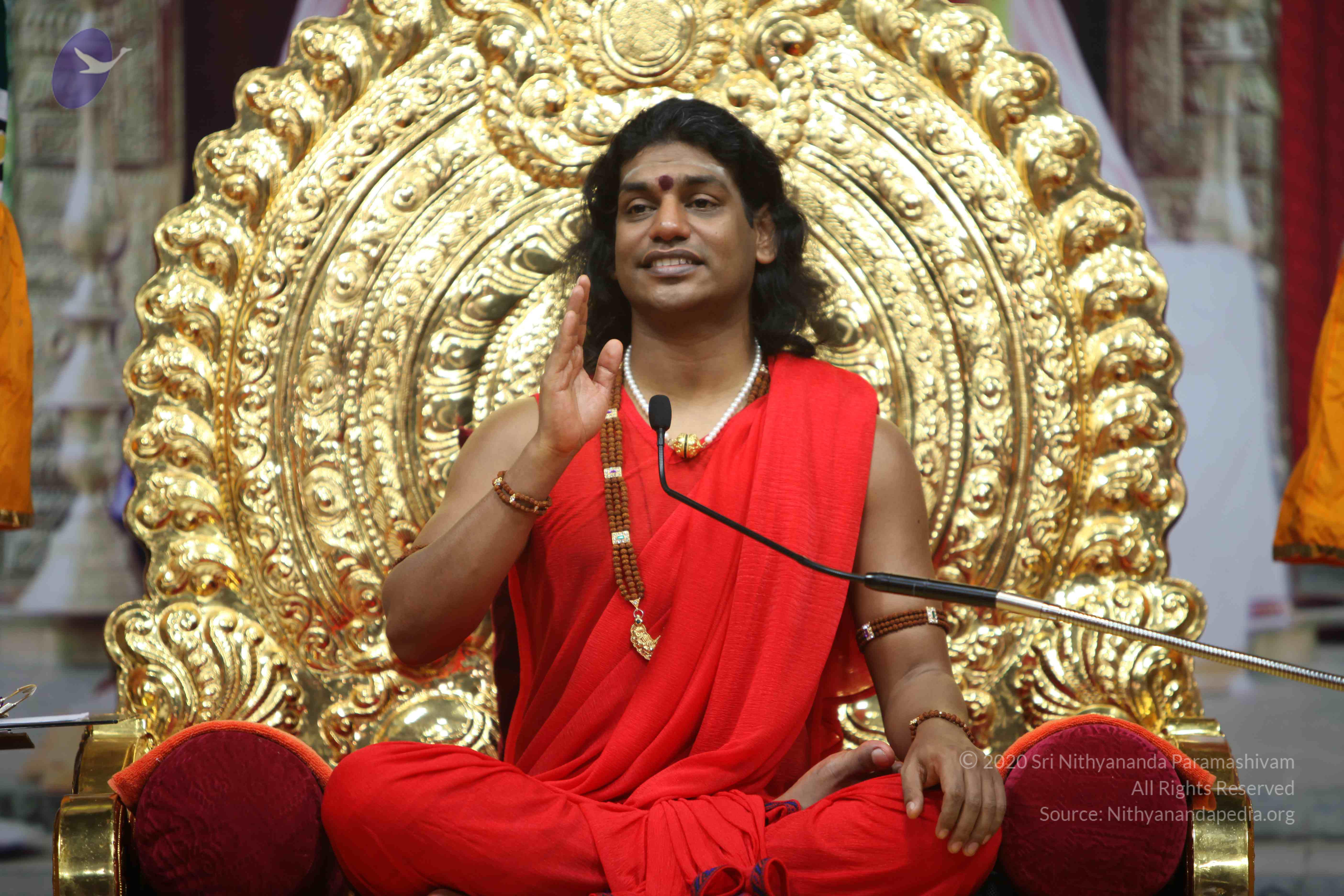 20110216_Photo_1001_IMG_1183_CMP_WM