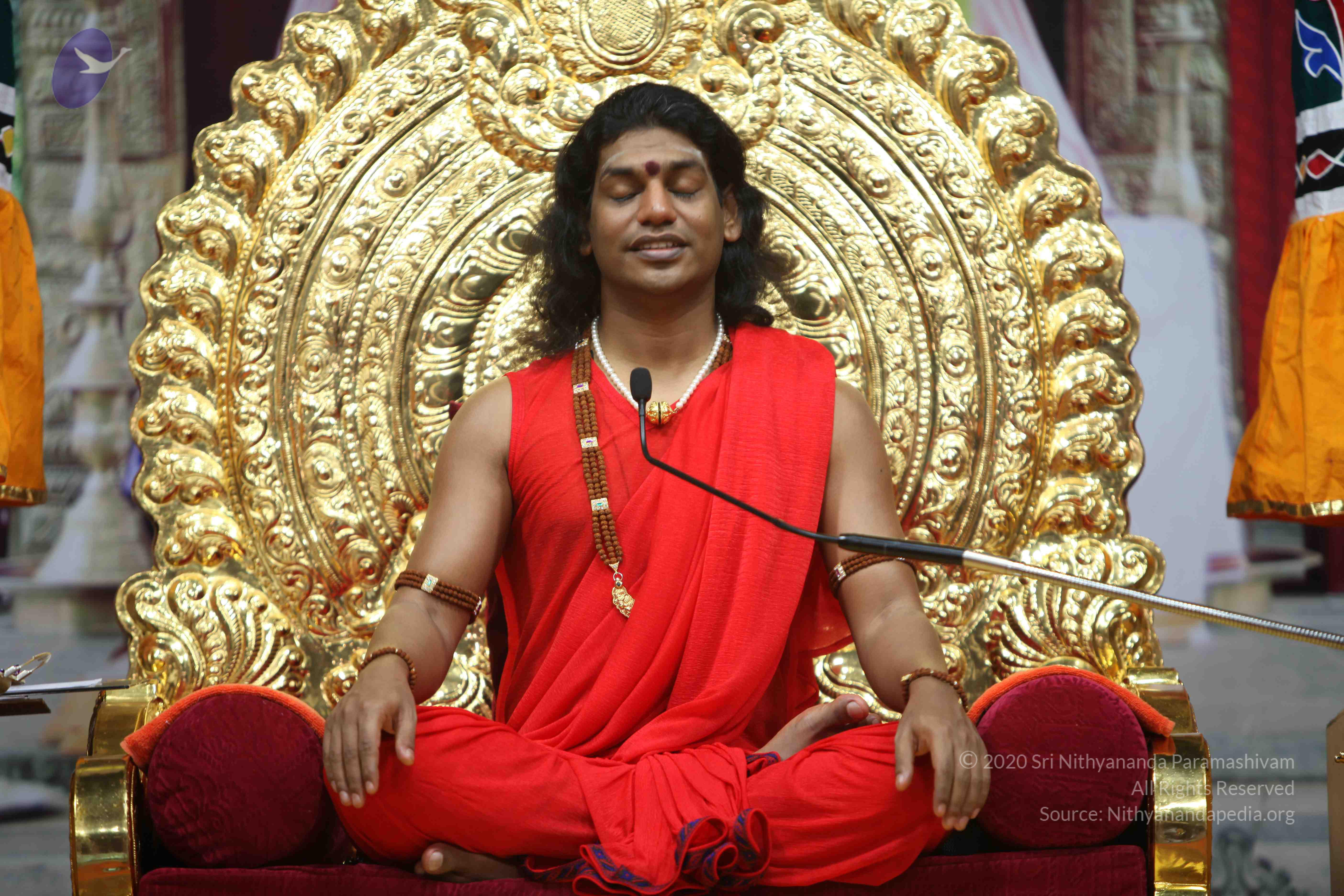 20110216_Photo_1005_IMG_1226a_CMP_WM