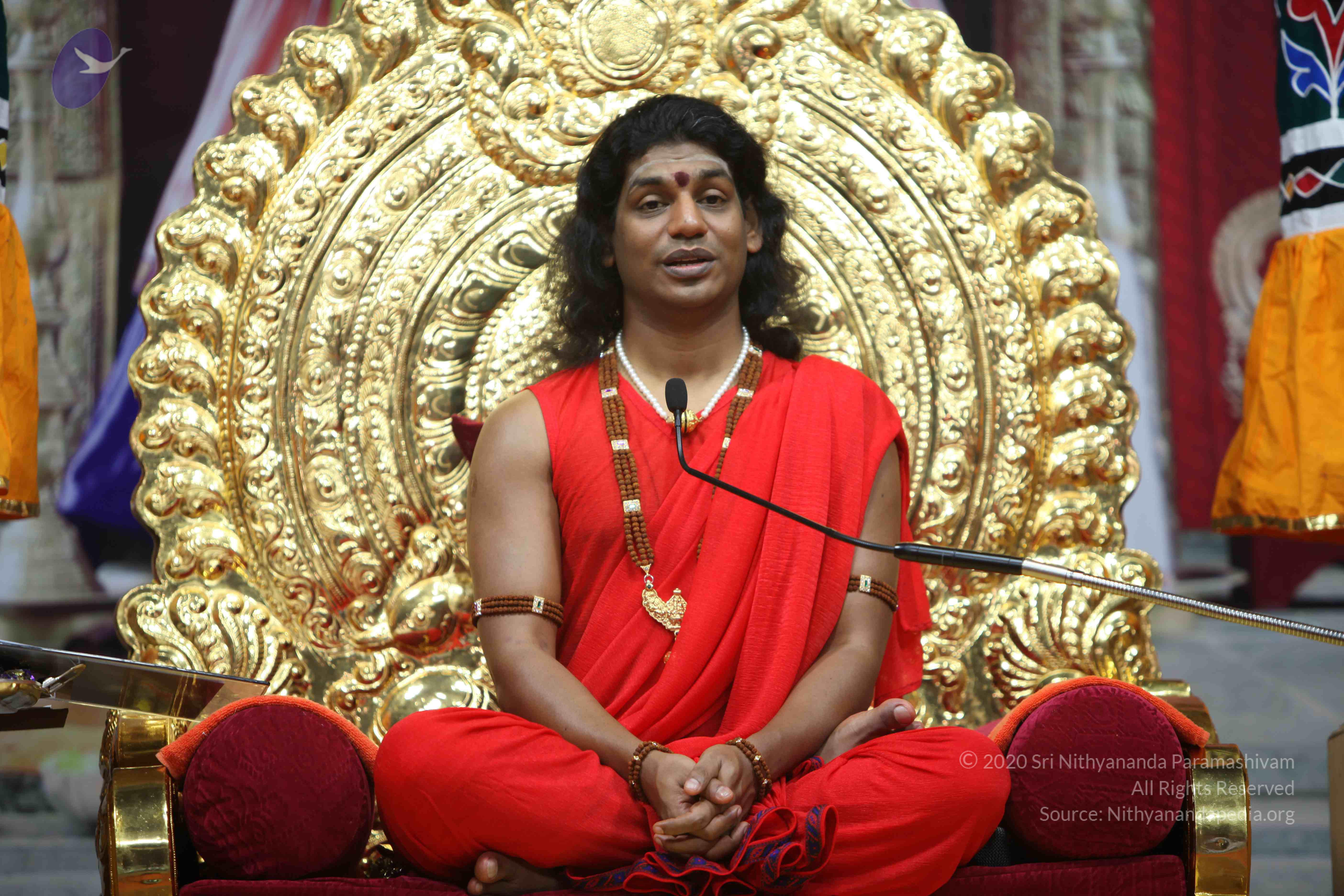 20110216_Photo_1006_IMG_1135_CMP_WM