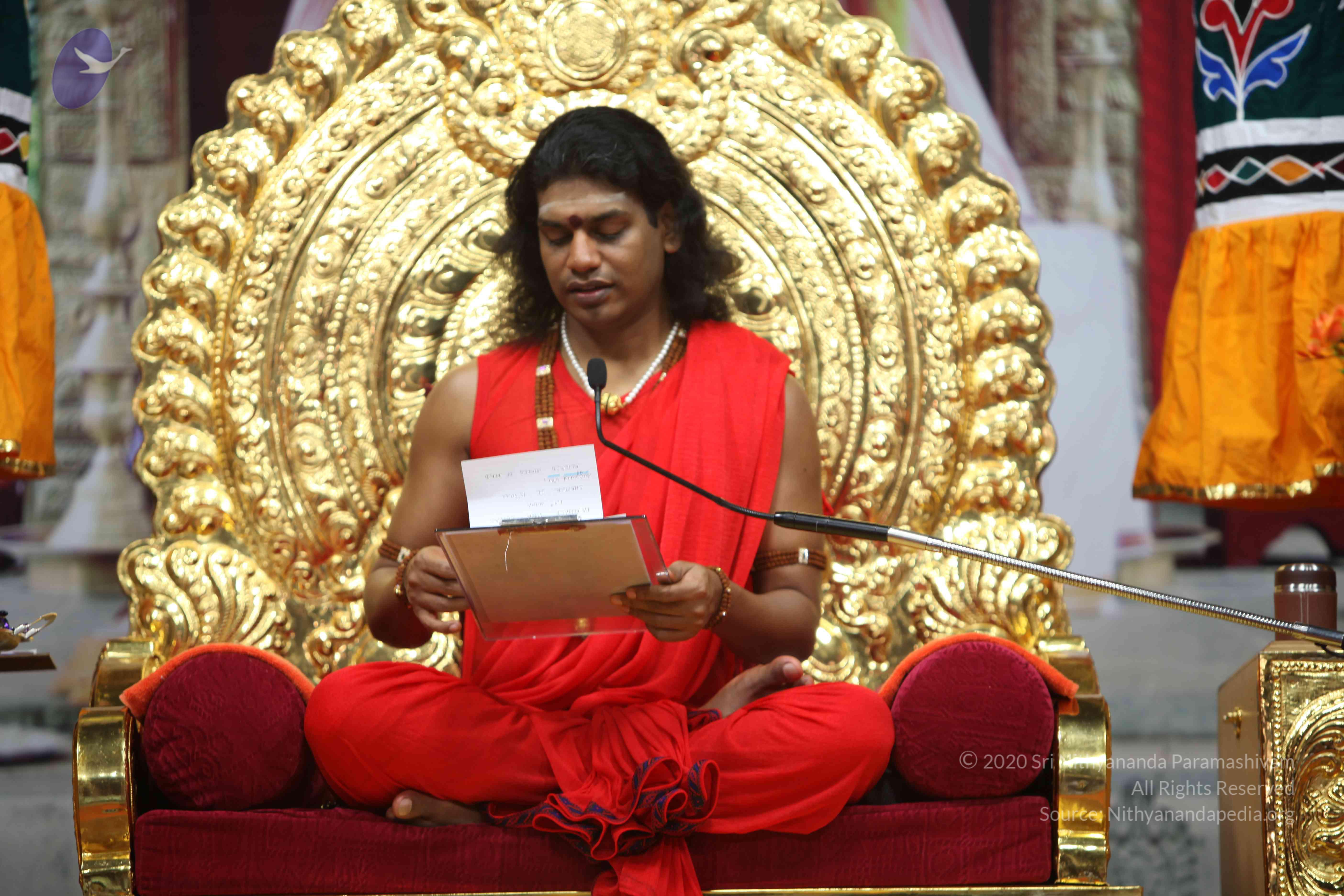 20110216_Photo_1009_IMG_1160_CMP_WM