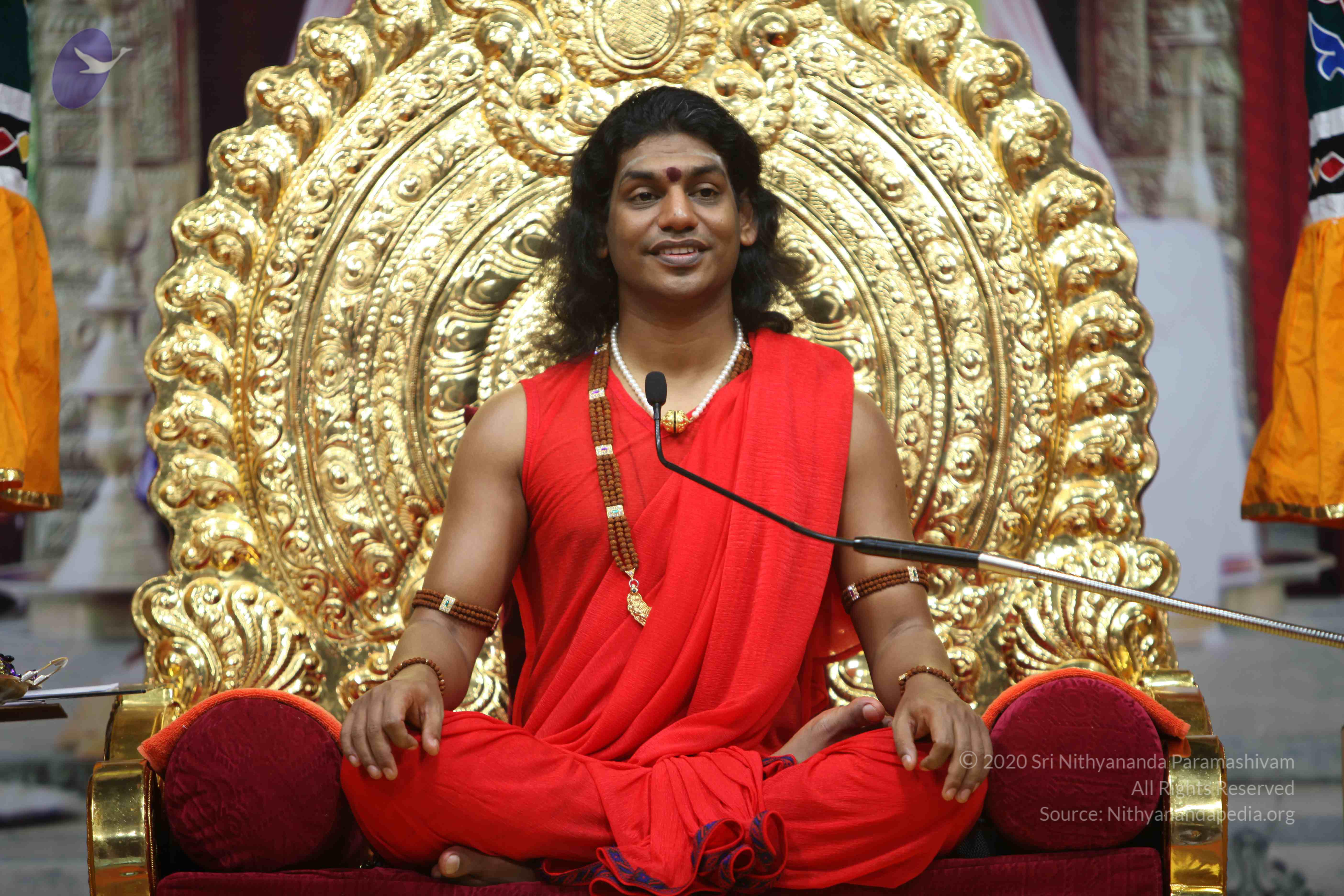 20110216_Photo_1010_IMG_1171_CMP_WM